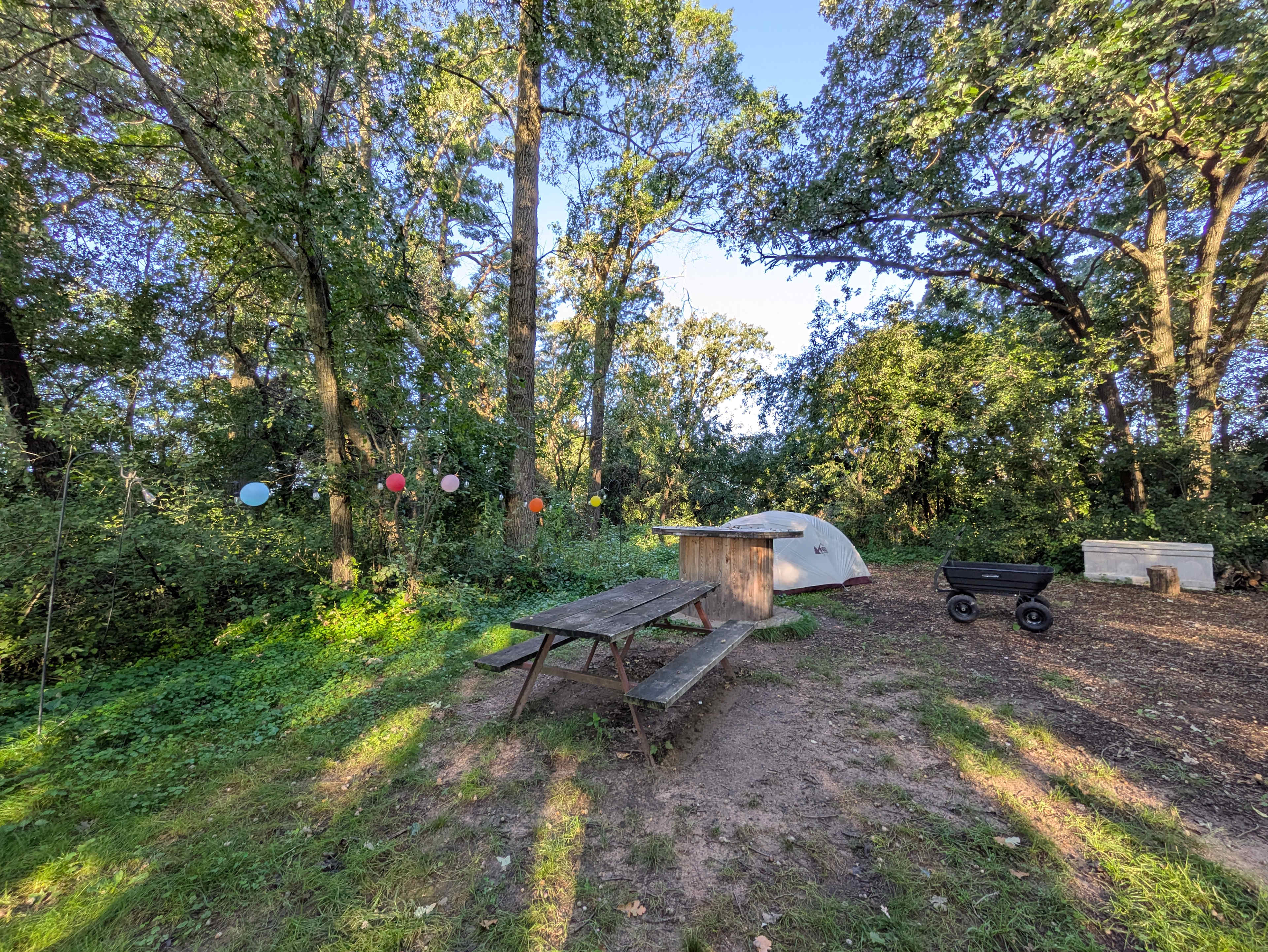 Two Bees & A Bud, Flower Farm Camp