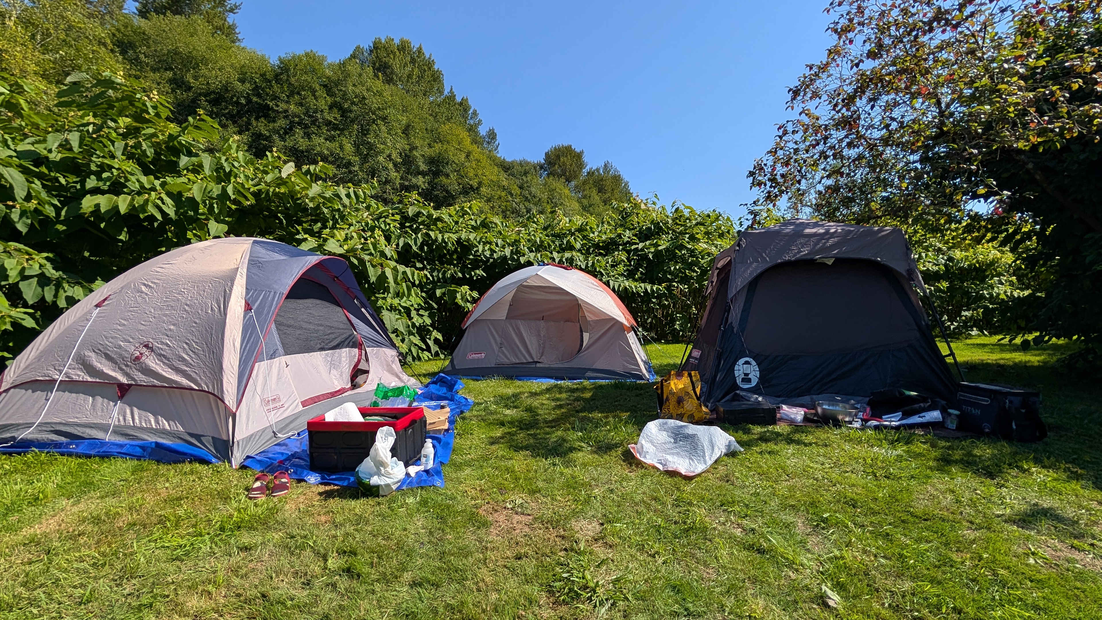 Humptulips Valley River Camp