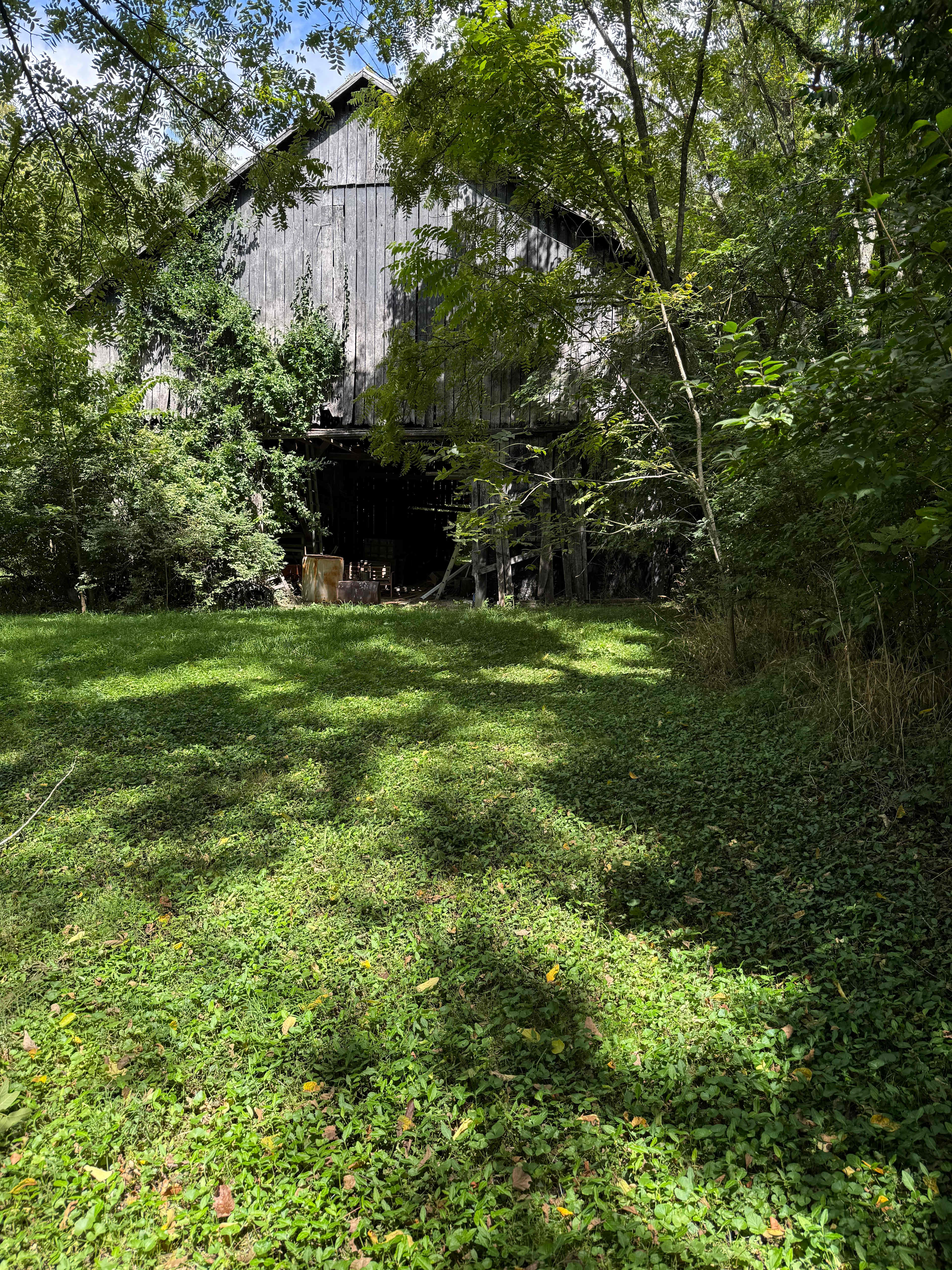 Farm and Forest