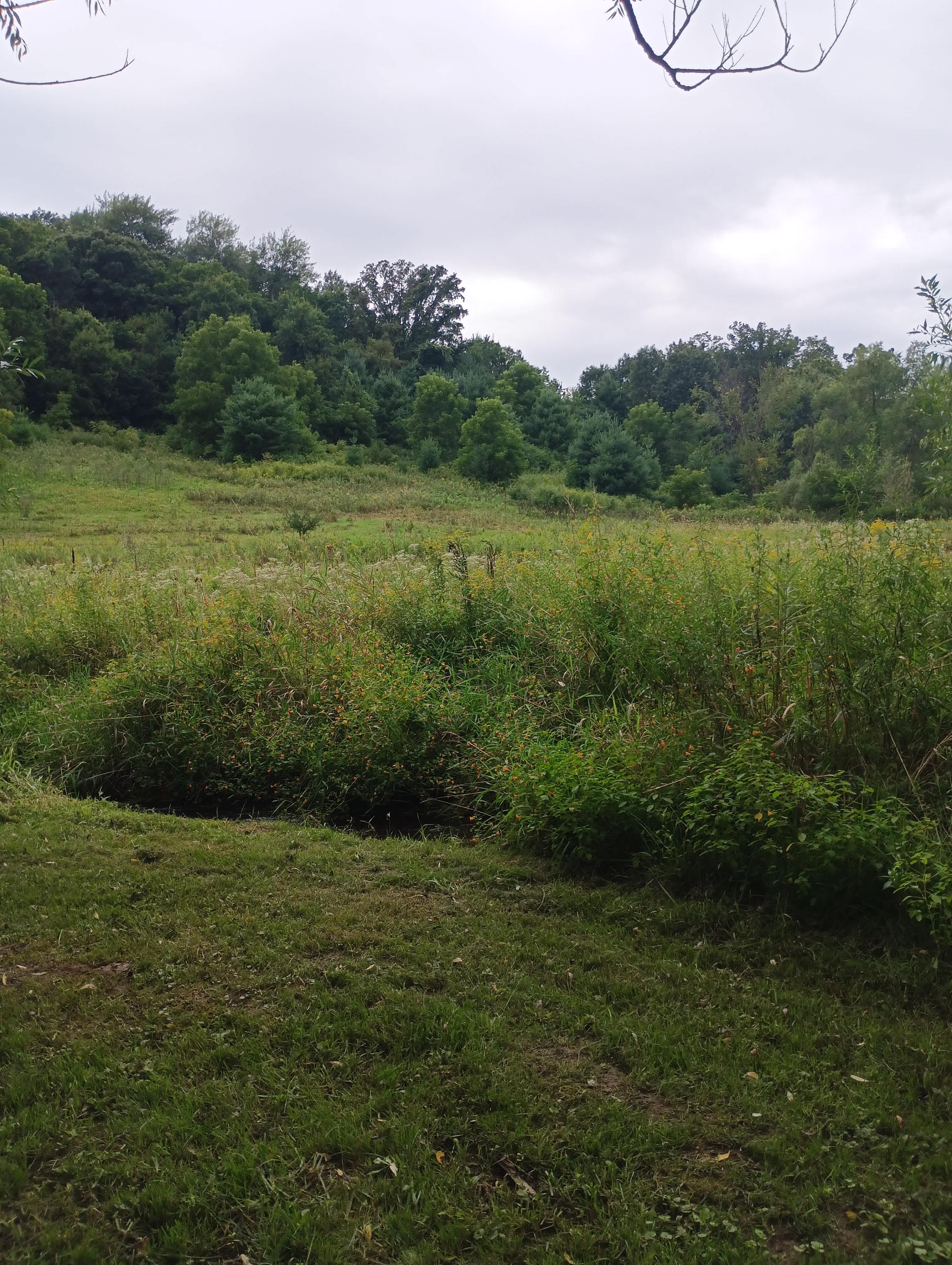 🦫 Flutterby 🦋 Farm 👩🏽‍🌾