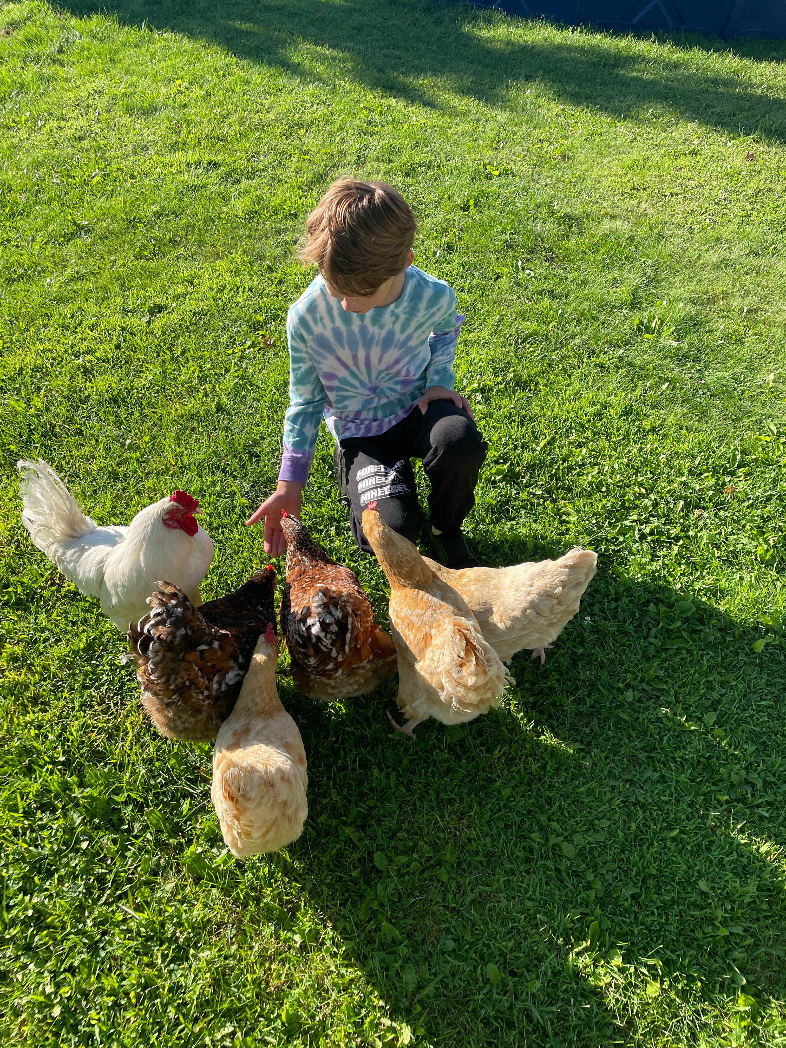 The Jubilee Homestead