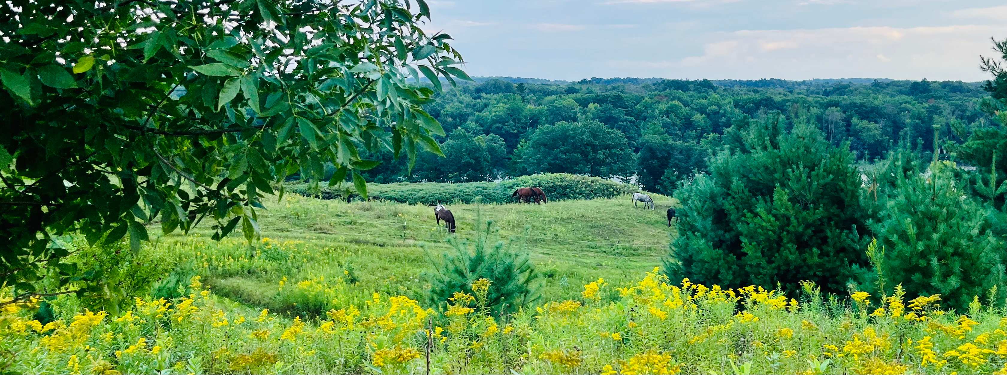 River to Ridge Farmstead