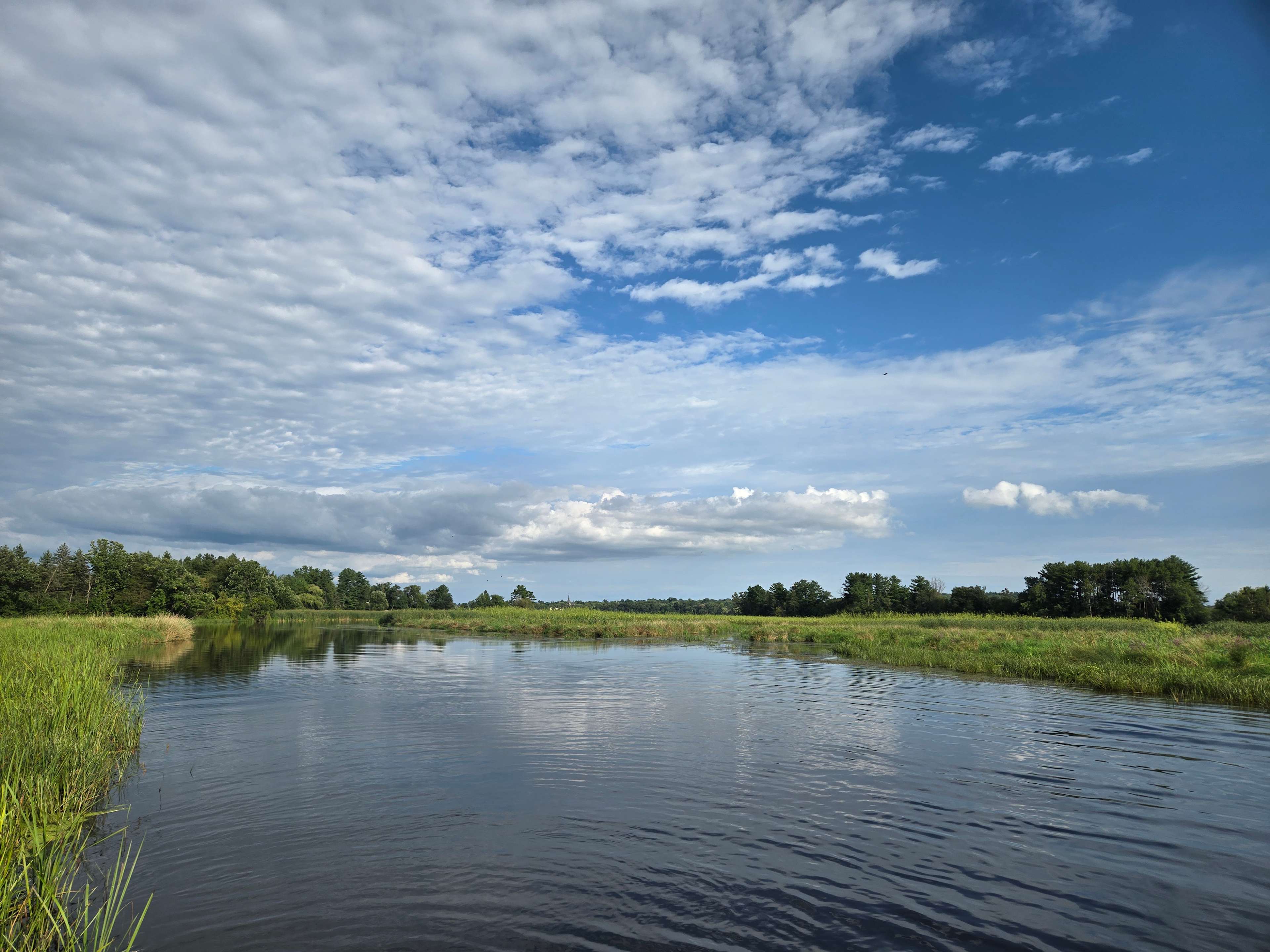 View from the dock