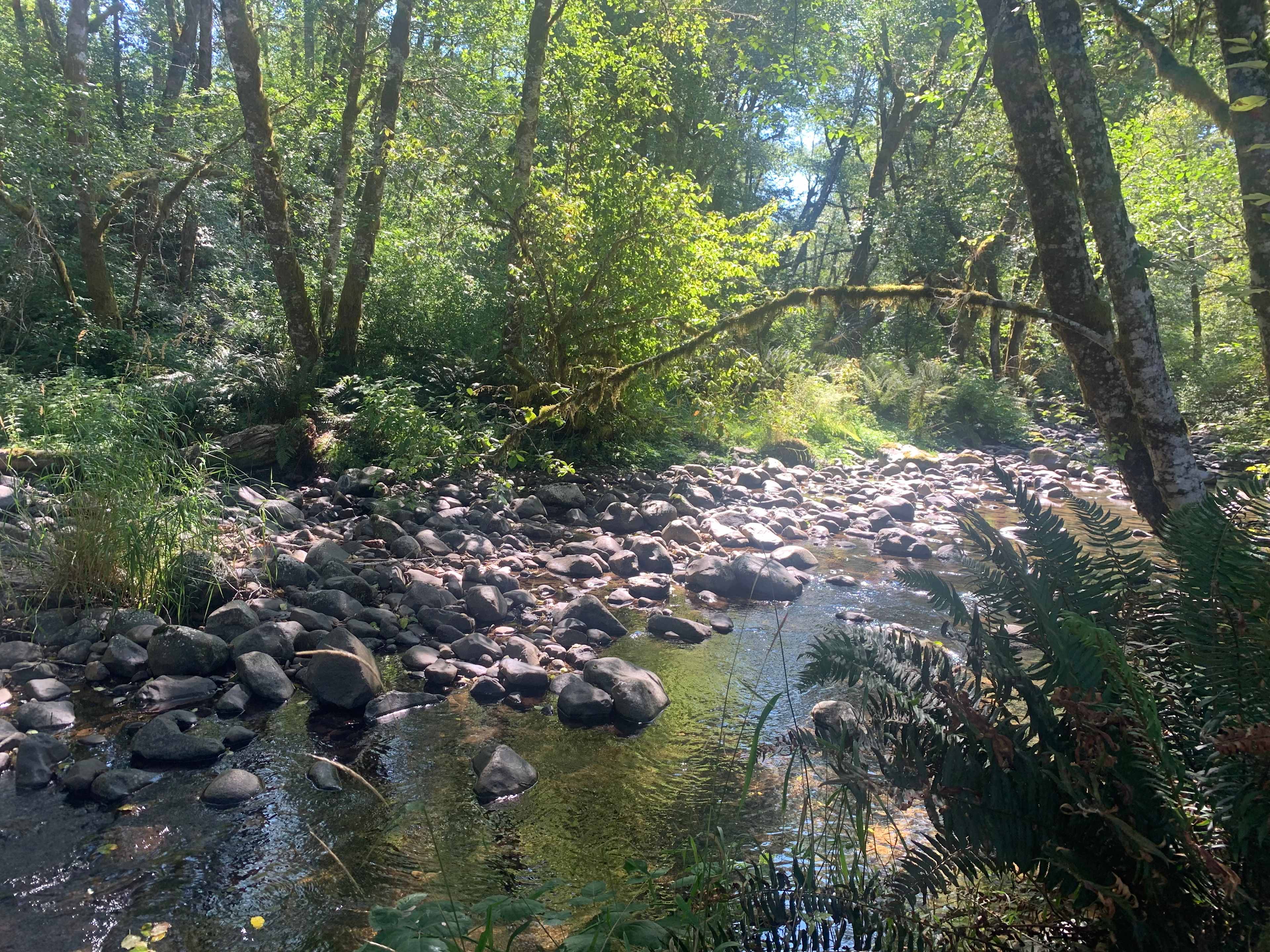 Powder Creek Campground