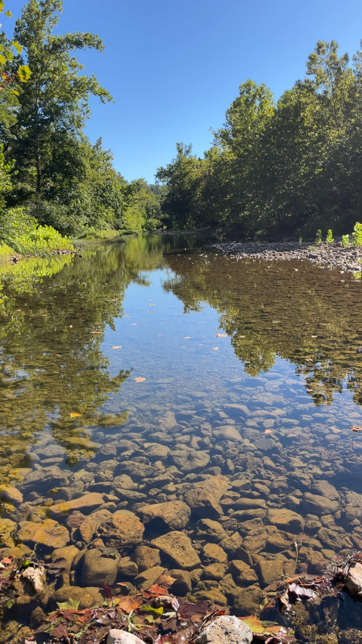 Sycamore Springs Campground