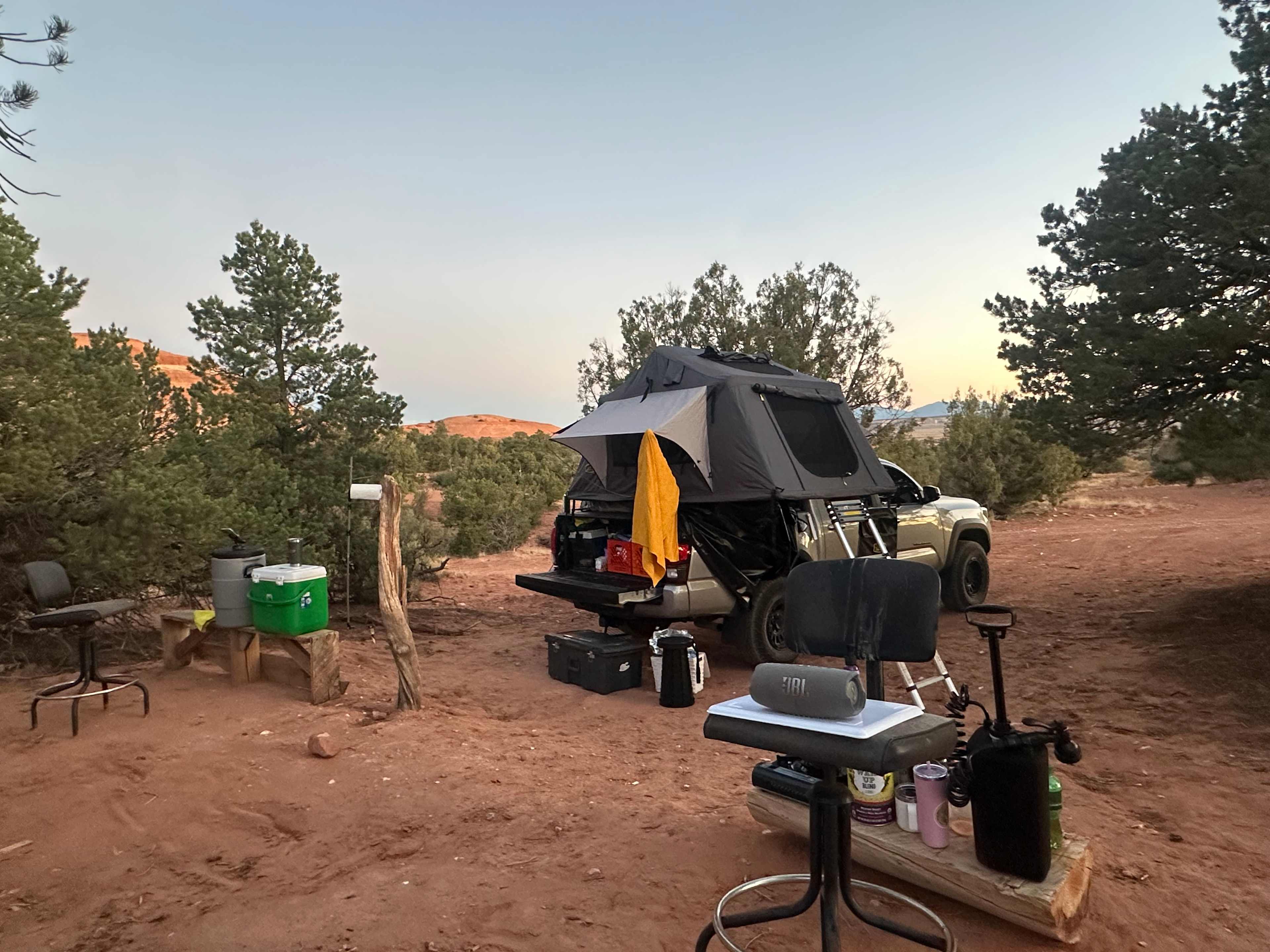 Where The Wild Things Camp