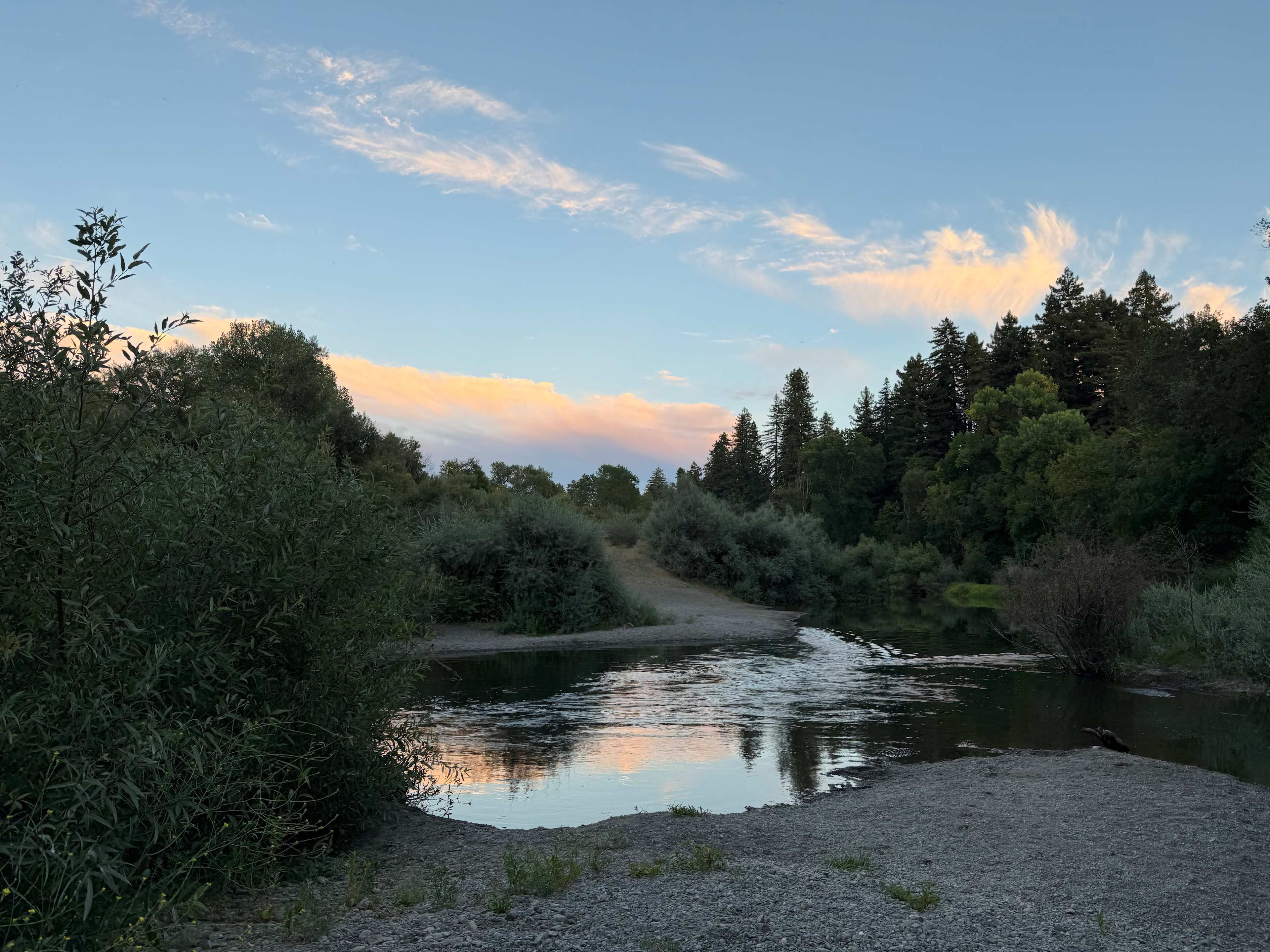 The Mojo River Spot in the redwoods