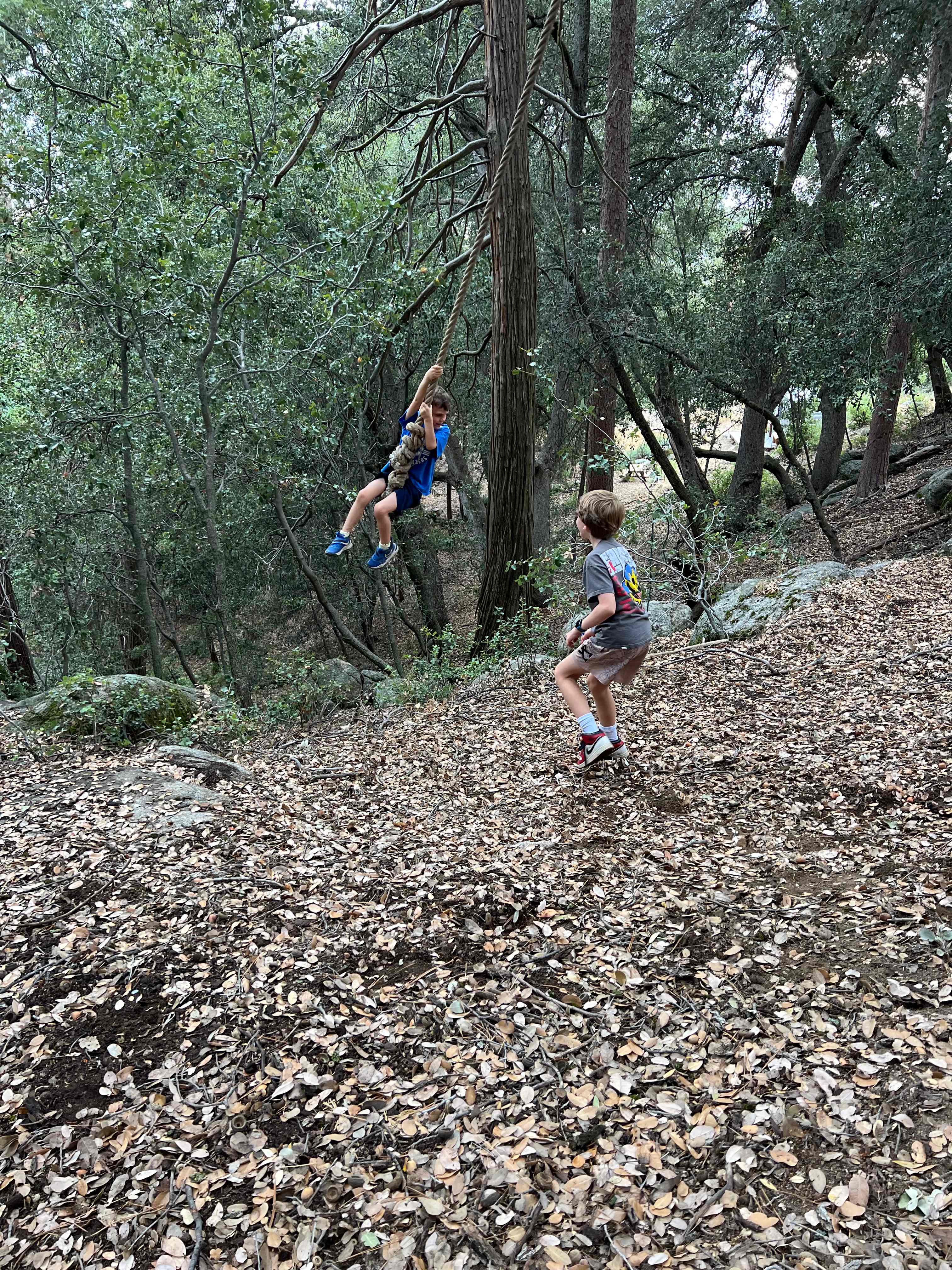 Serene forest privacy for 4WD