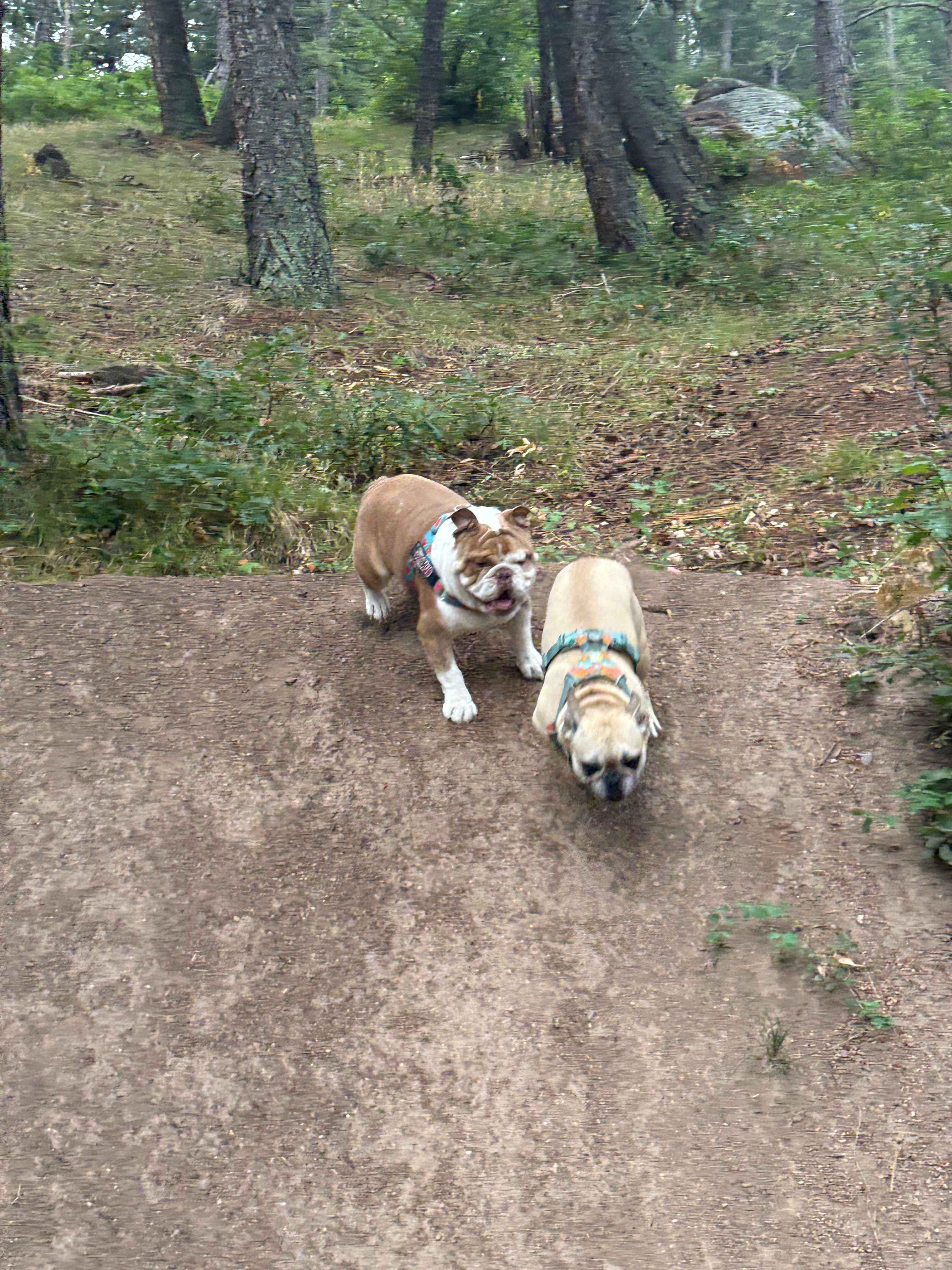 CampCHERIshed-Camp for a Cause!