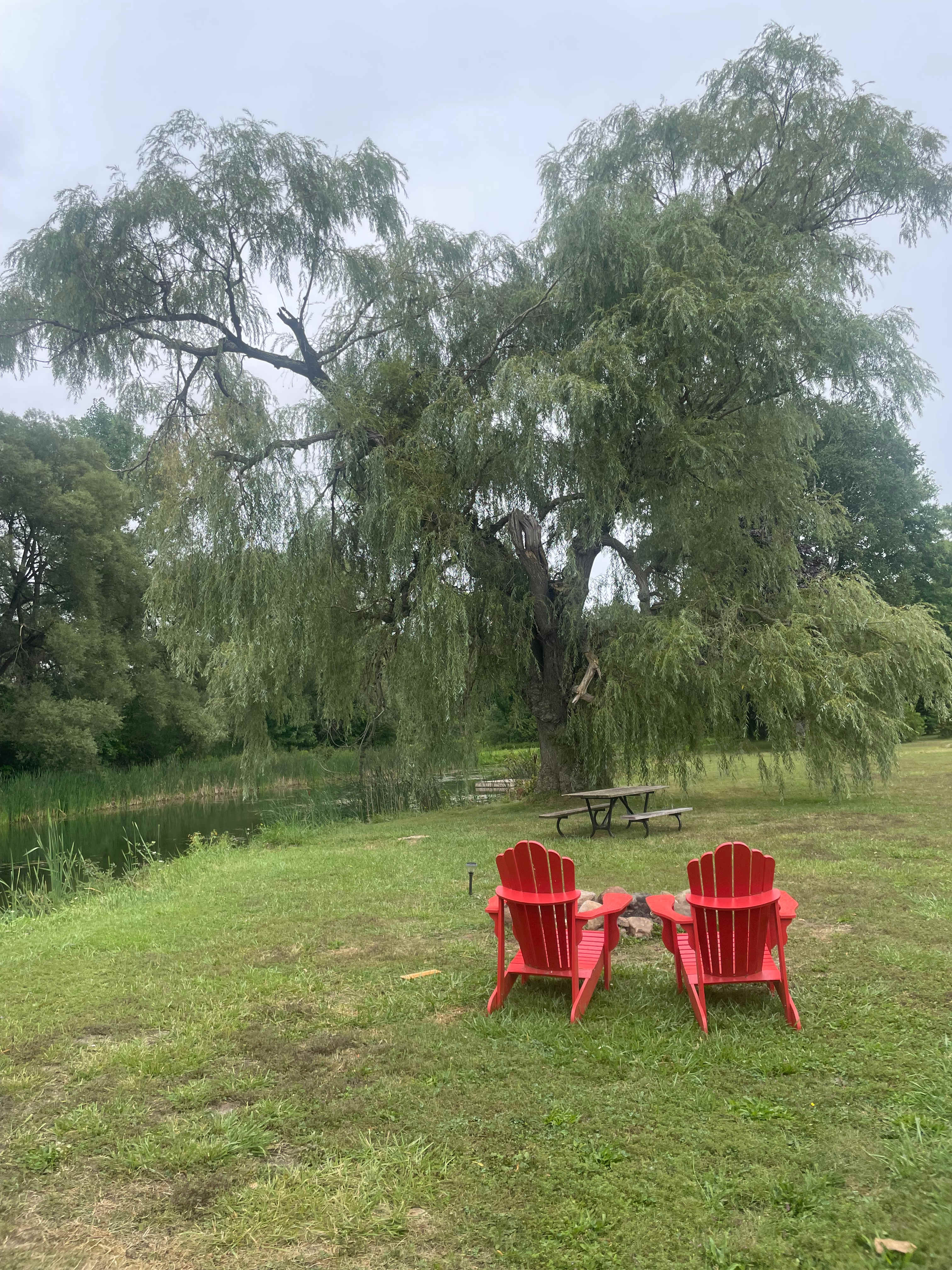 Hidden Oasis Near Elora