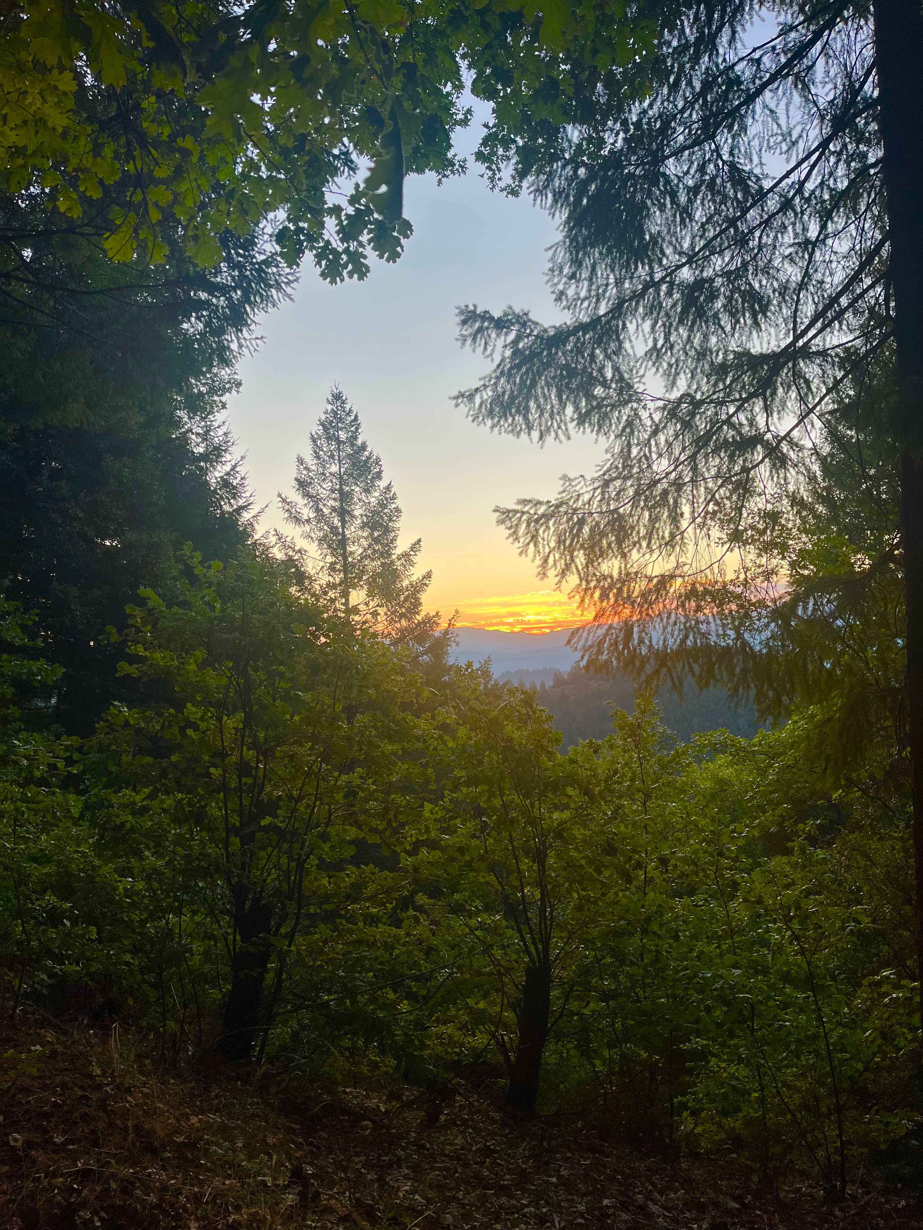 Red yurt sunrise view 