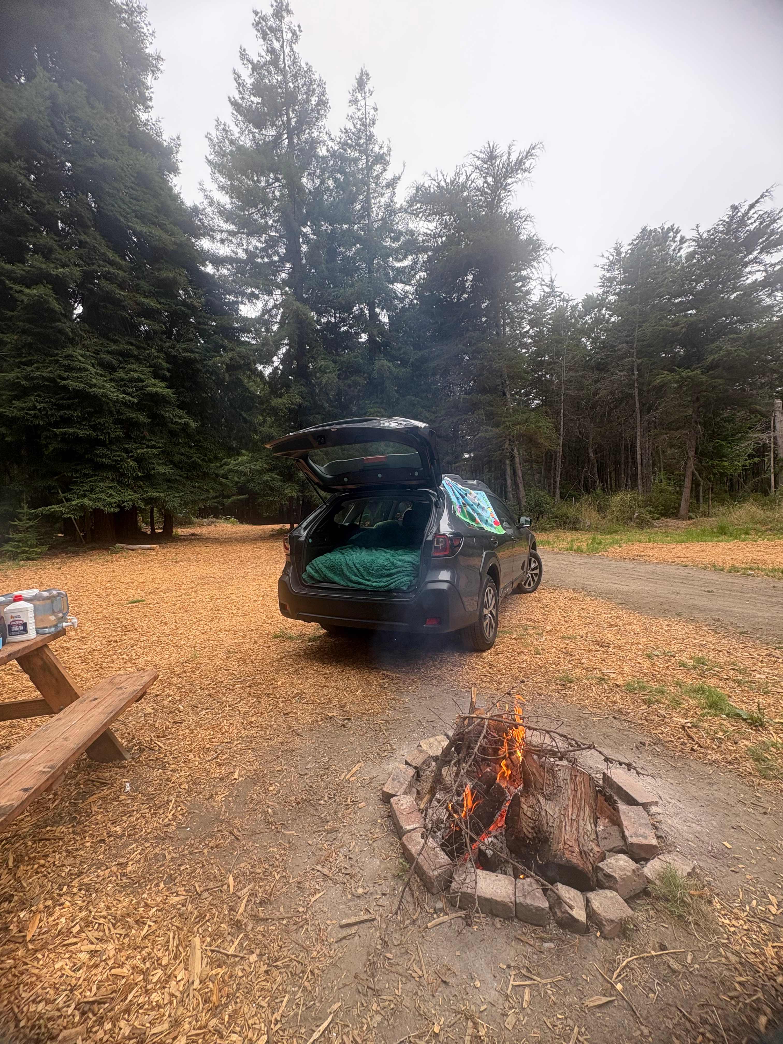 Emerald triangle site; perfect!