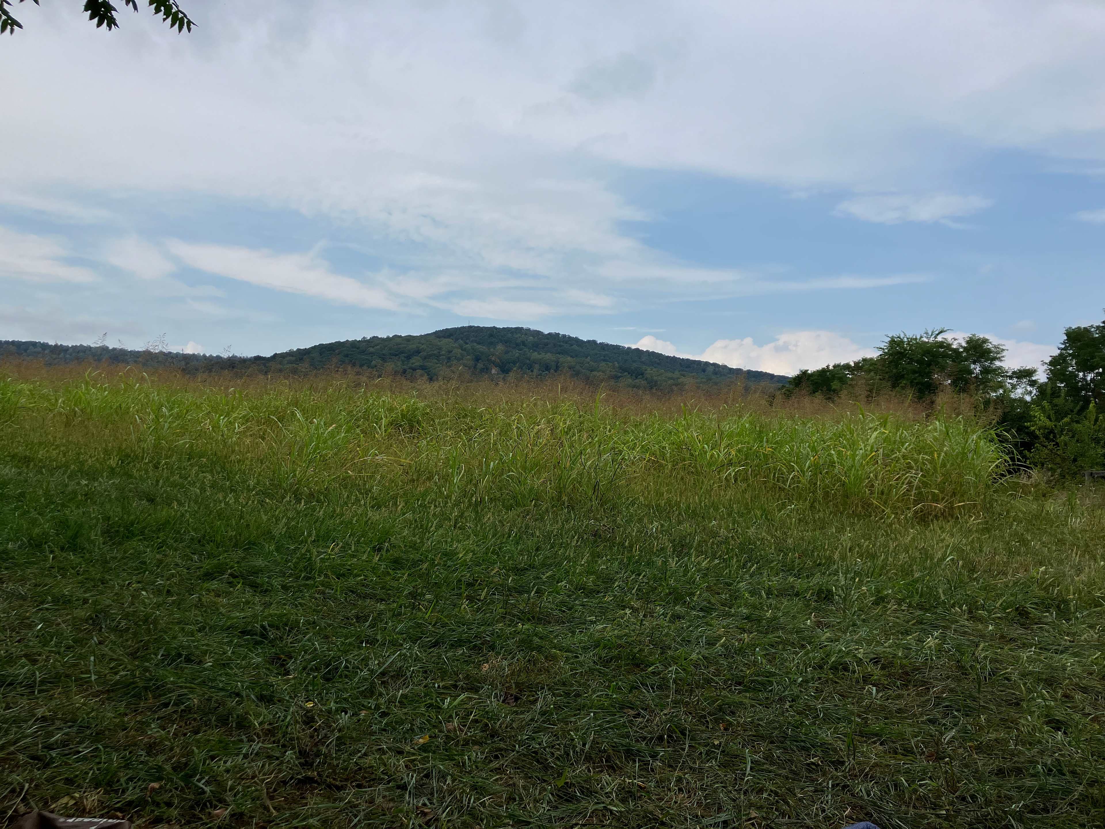 View of the mountains from my tent