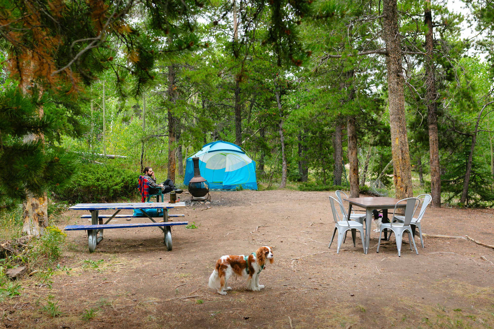 Lots of areas to sit at camp - lots of space for tents