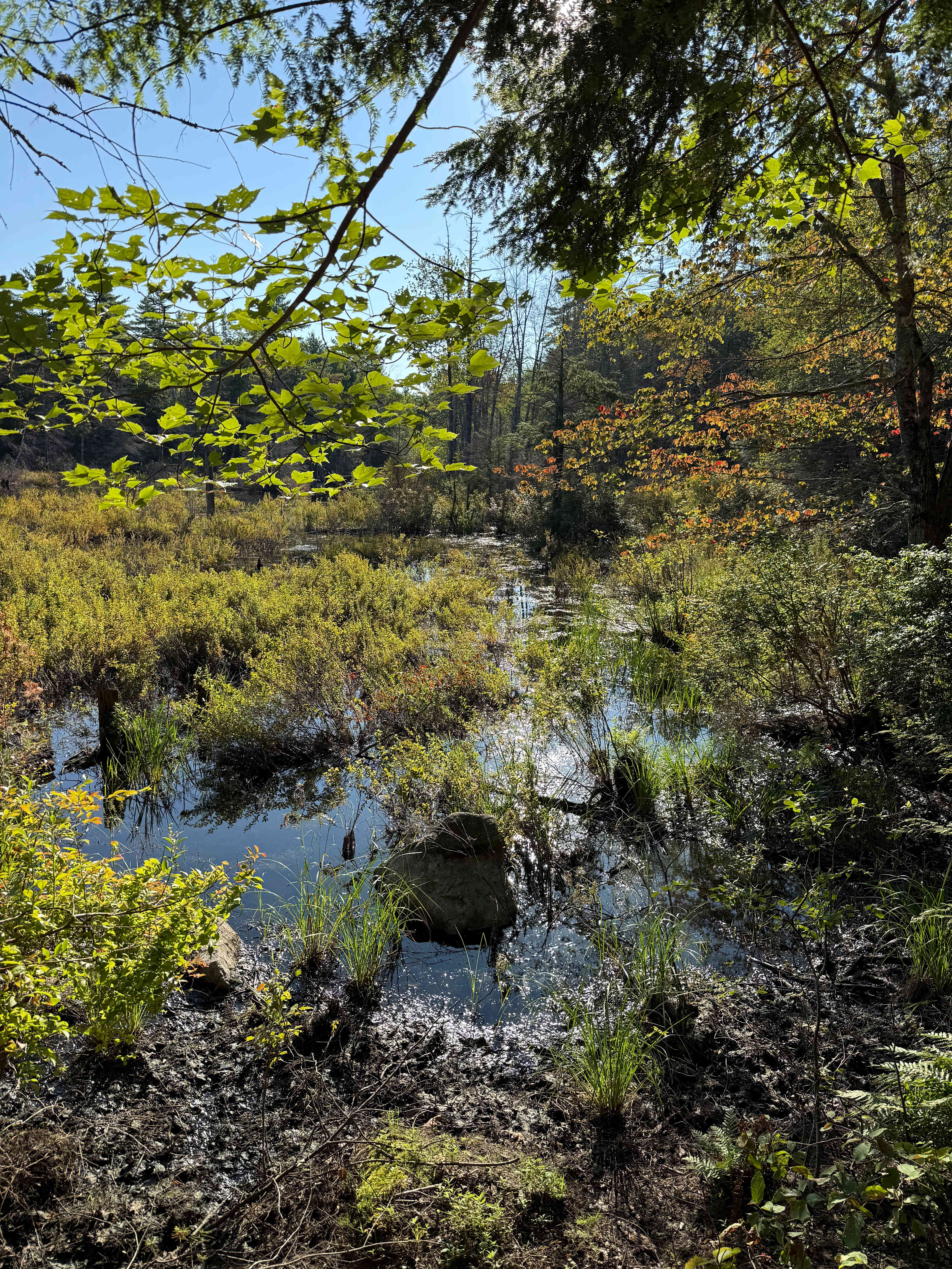 Mountain Brook Hideaway