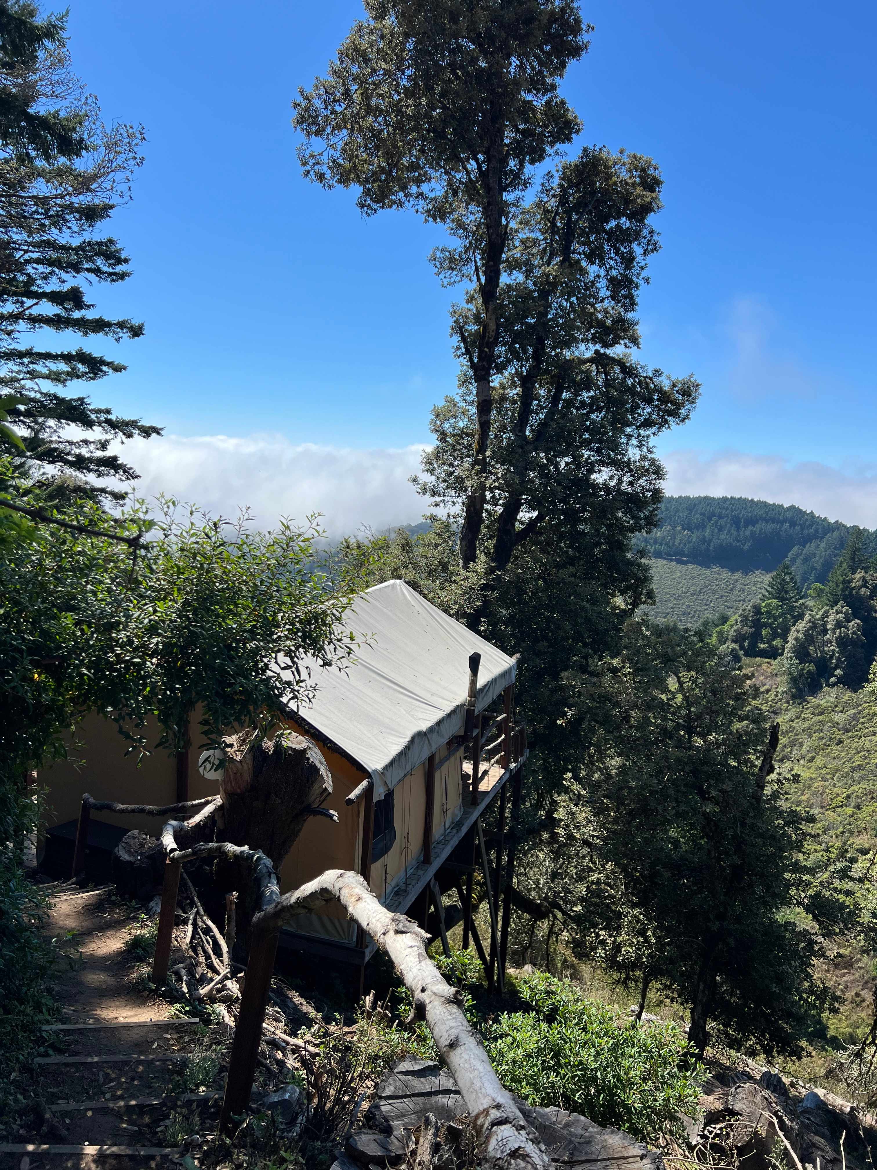Kings Mountain Camp w/ ocean views
