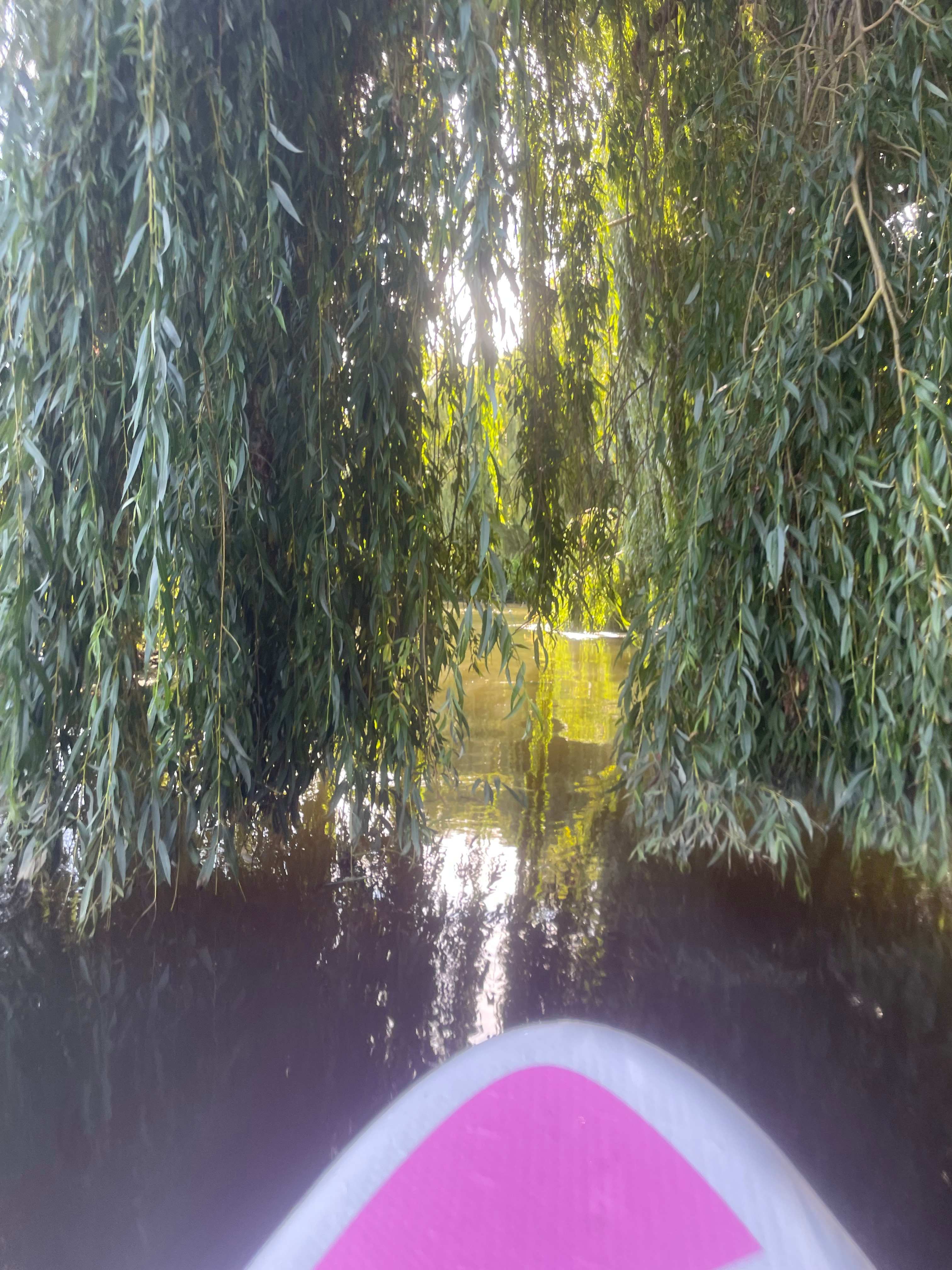 Camping with a festival spirit