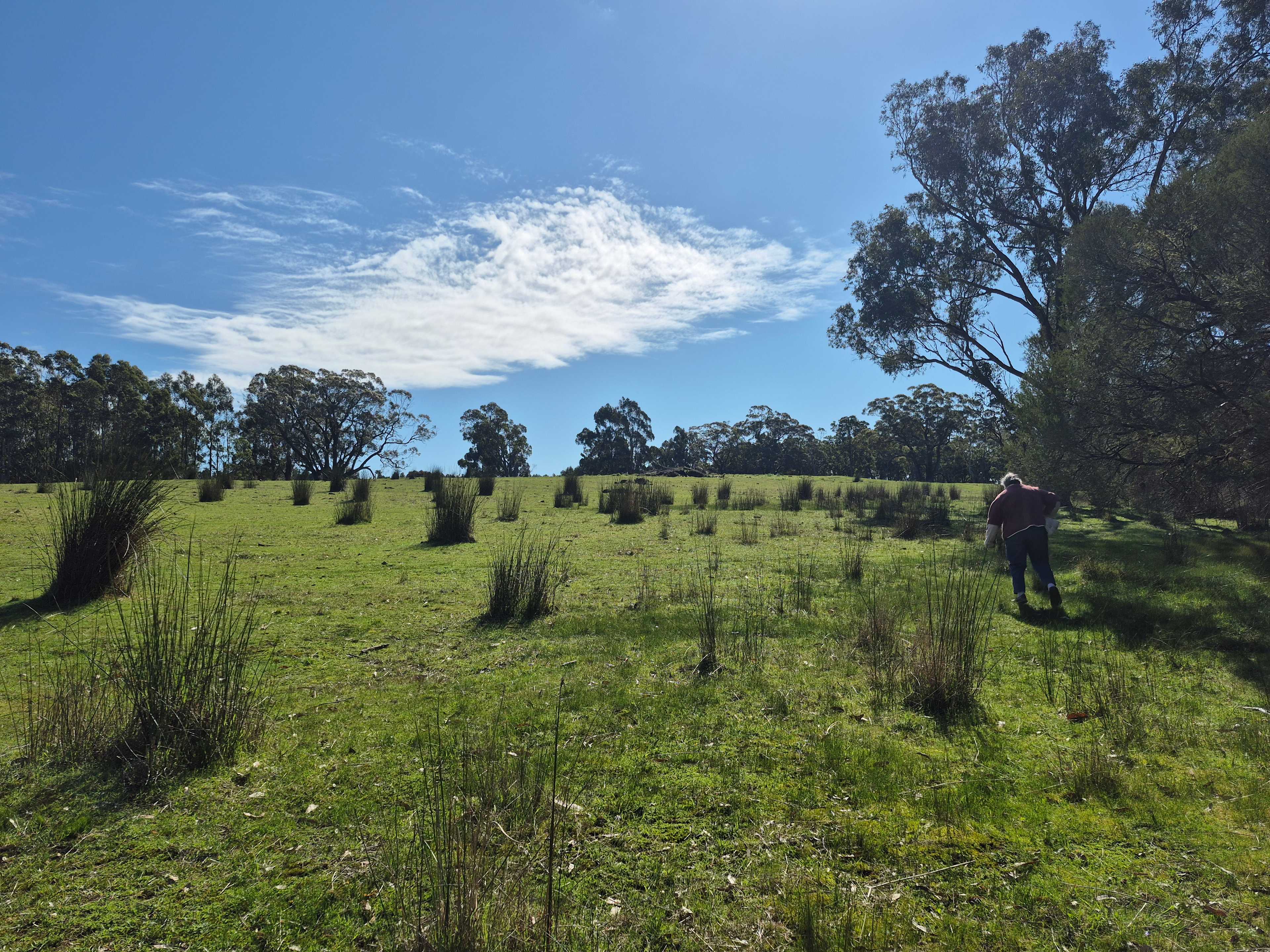 Eddies Beach Farm, Forest Hill