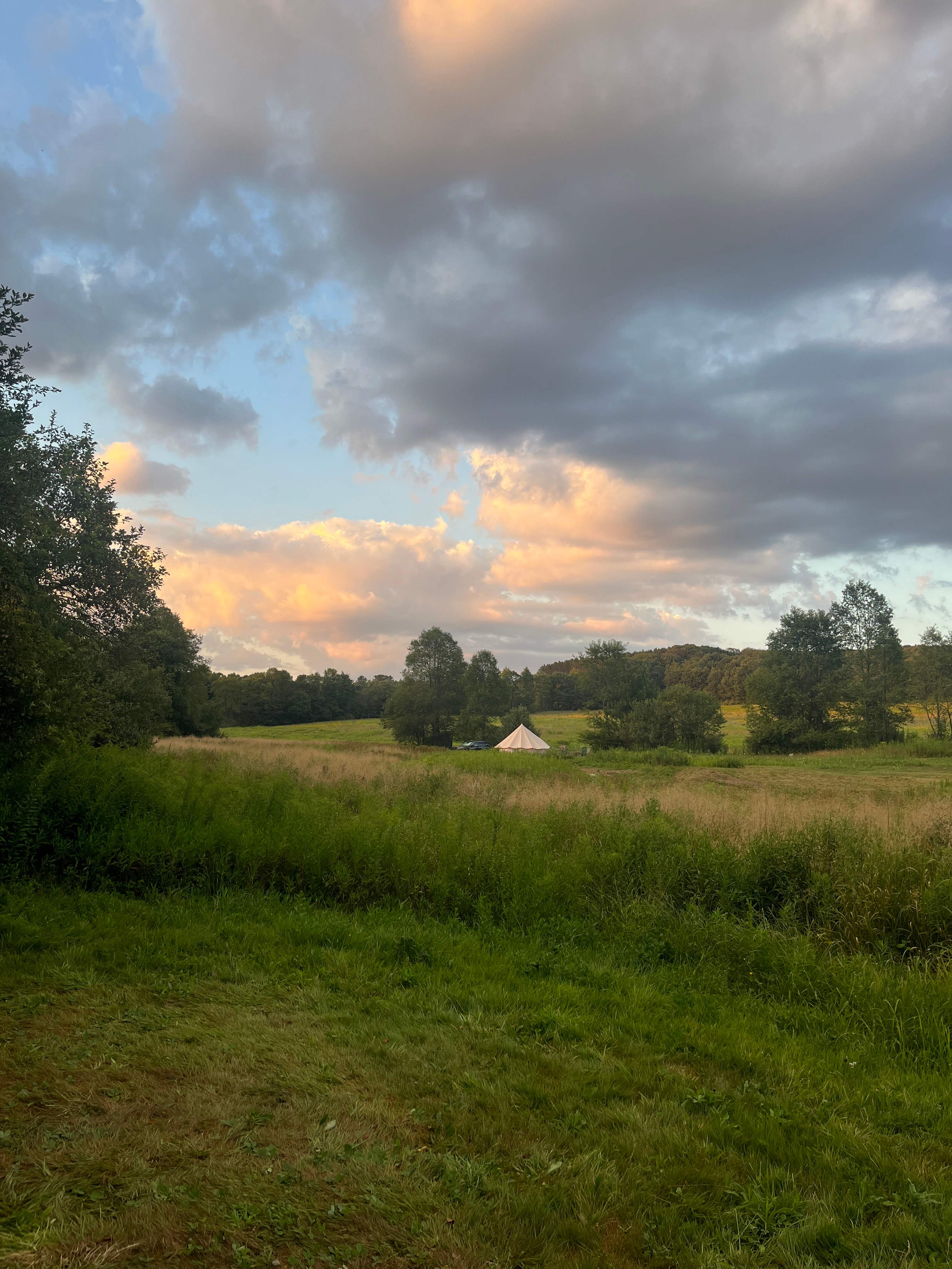 Stargazing Field at Olga Farm