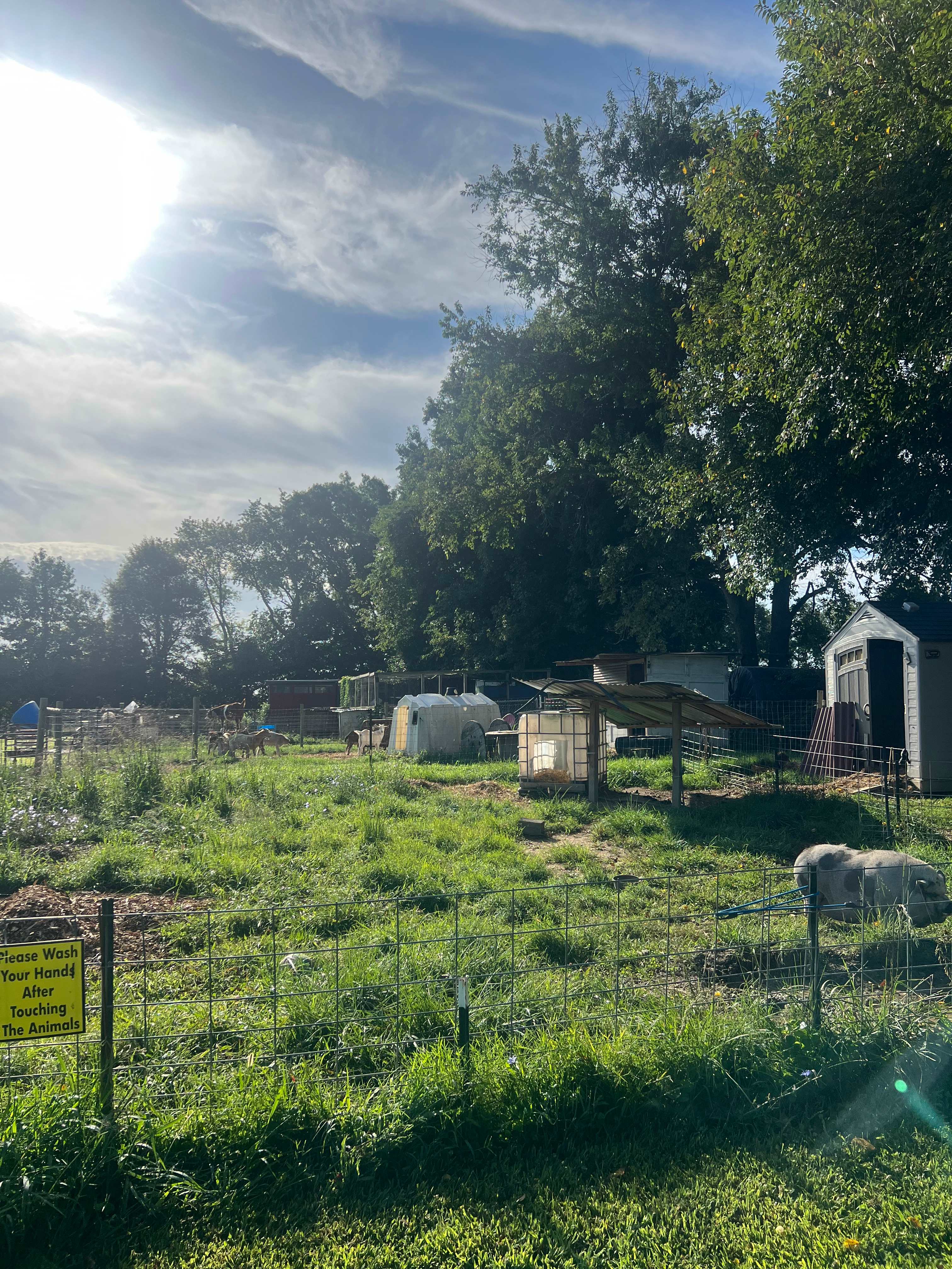 Huck and Buck Farm Sanctuary
