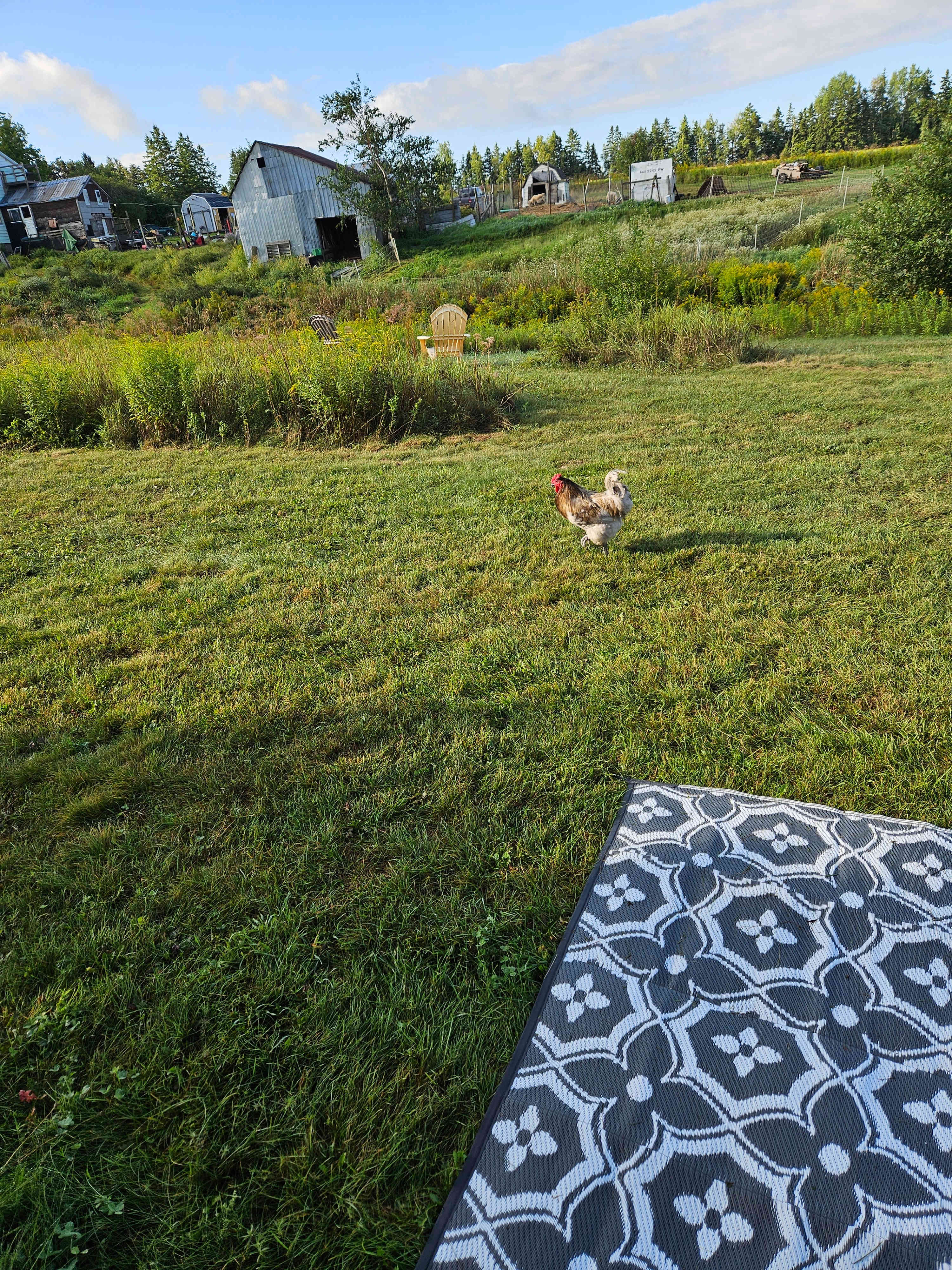 Kavanagh Farm camping