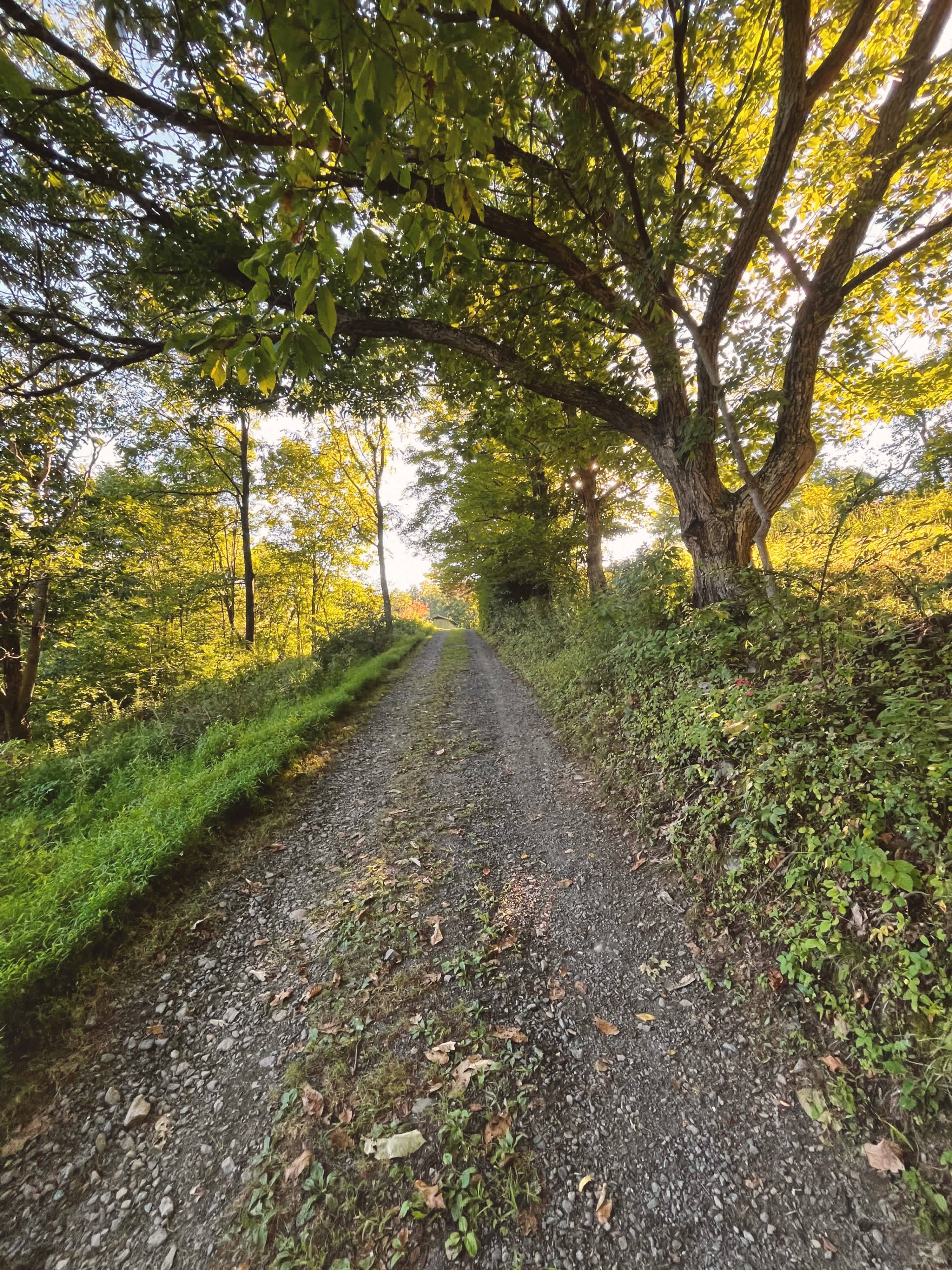 Organic Farm in the Pocono Mts.