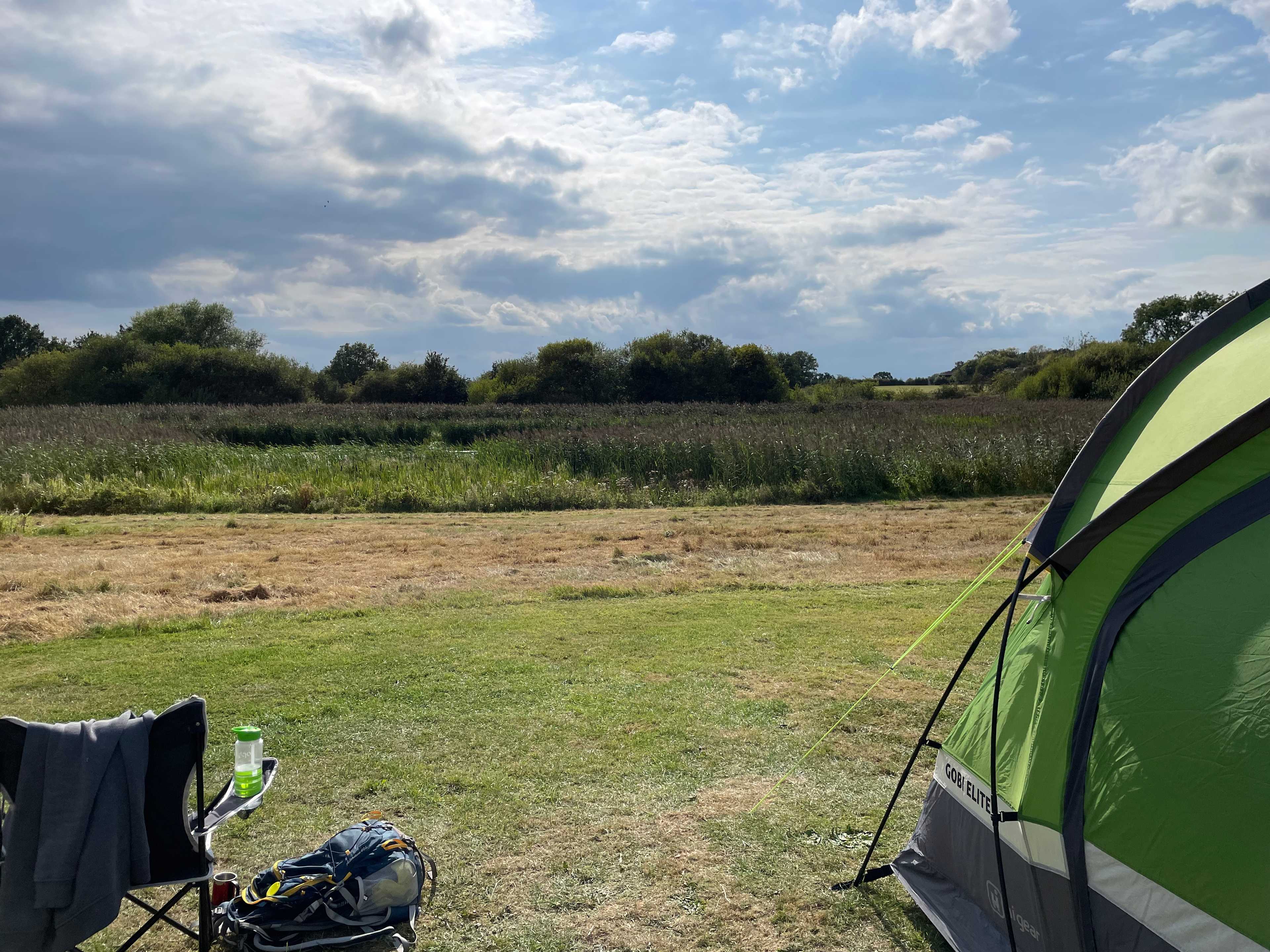 View over the reed bed