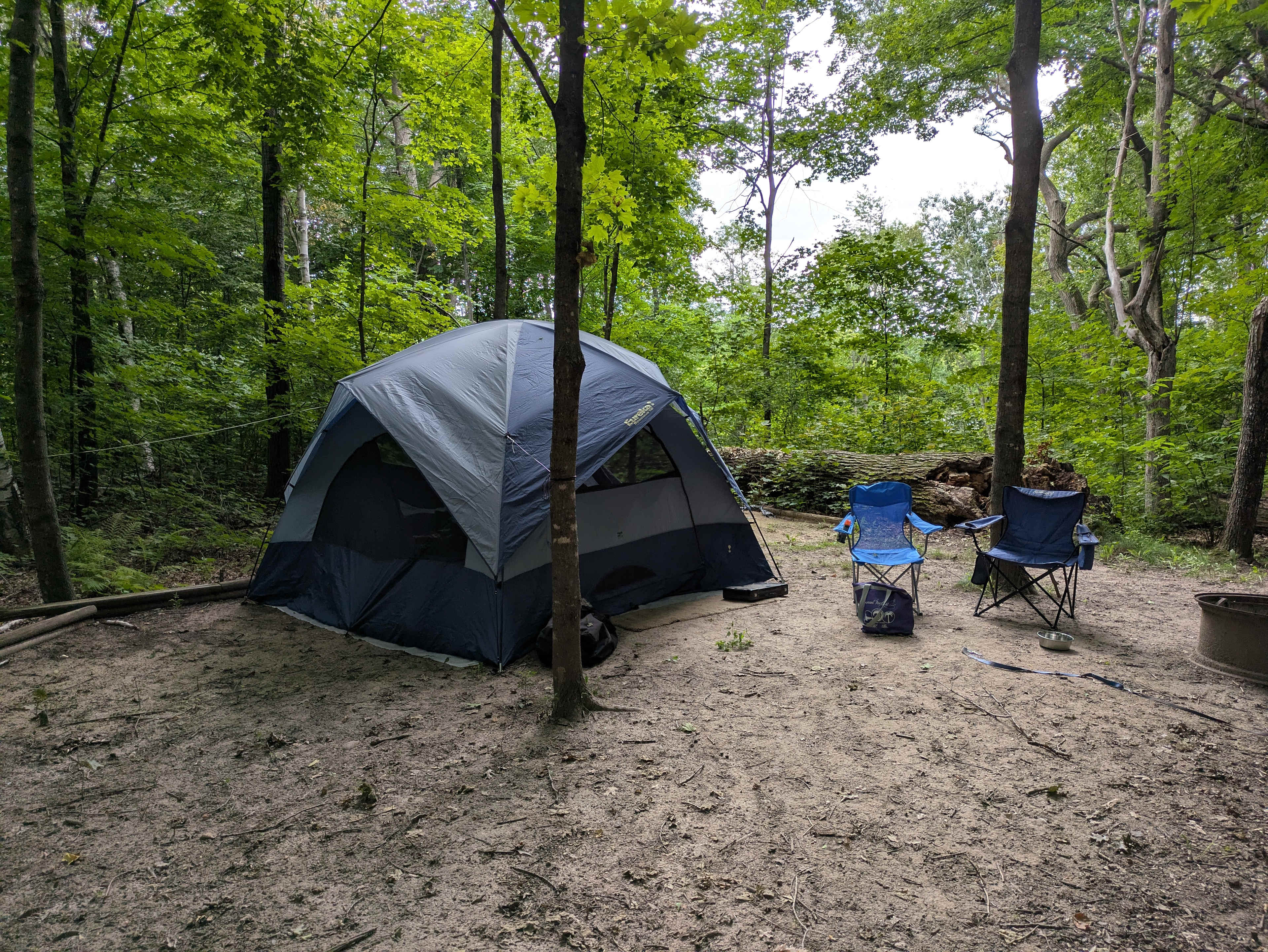 Wild Vines Campground