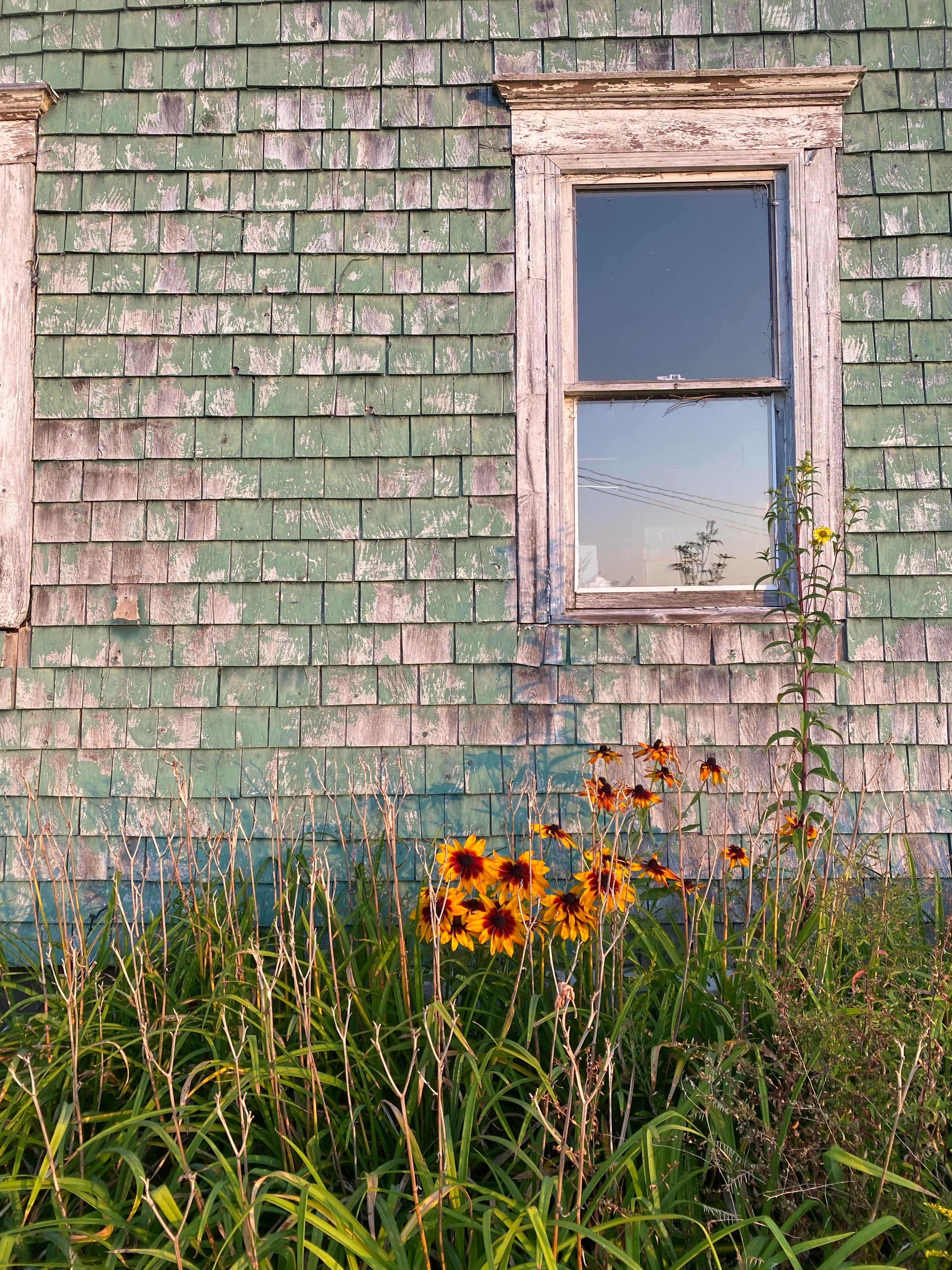 Charming old summer cottage