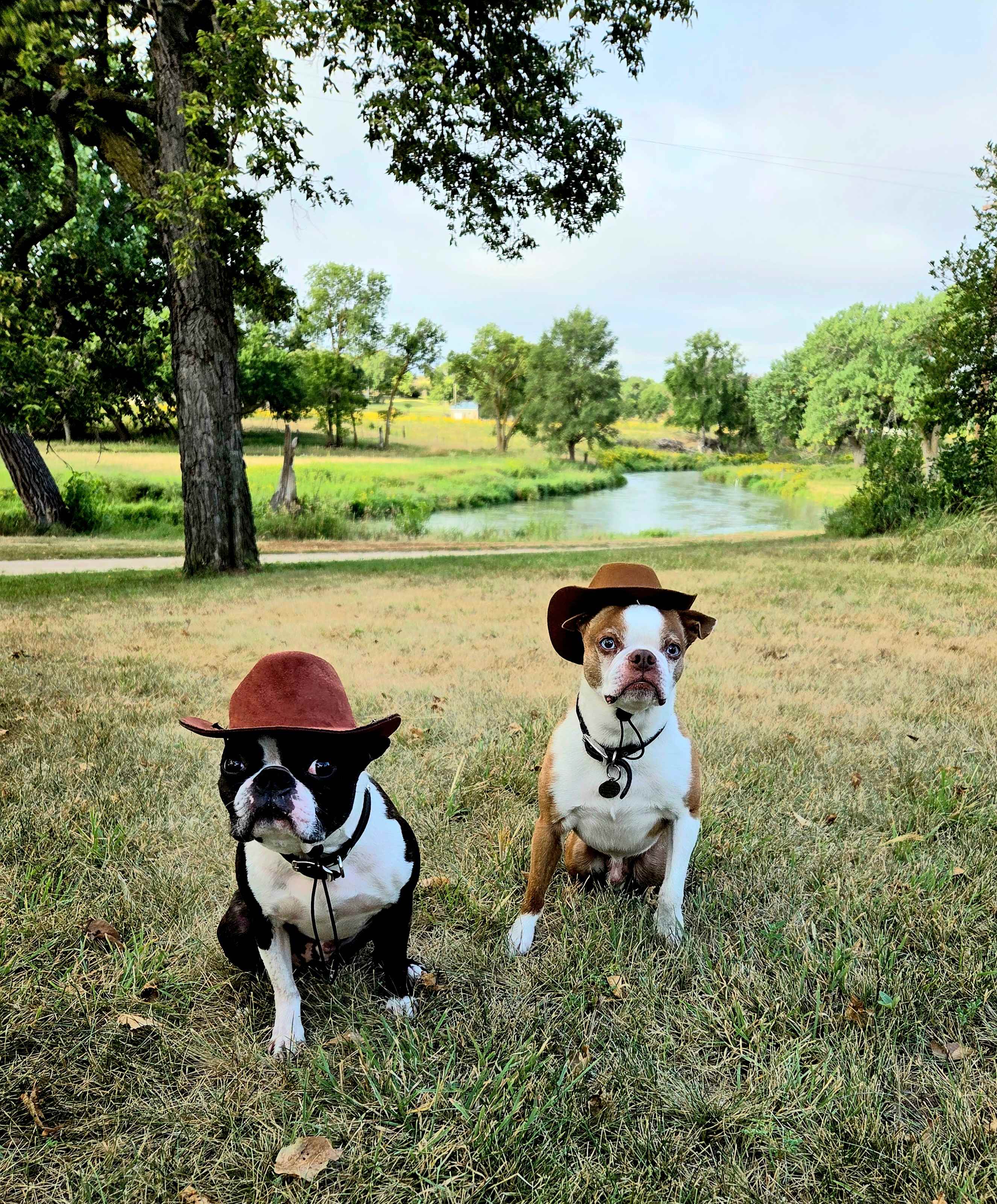 Two bad hombres