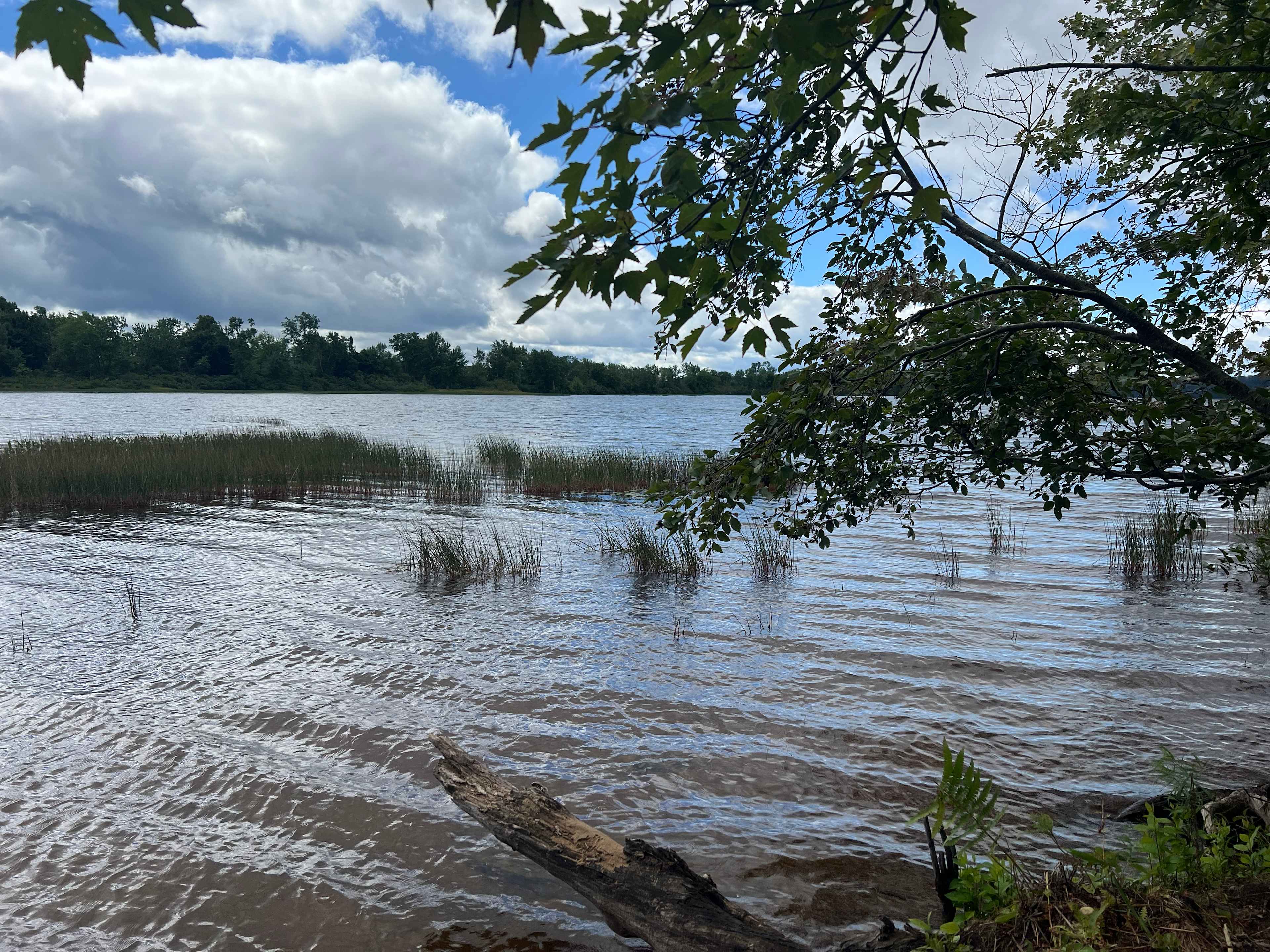 Muskoka Wellness Retreat