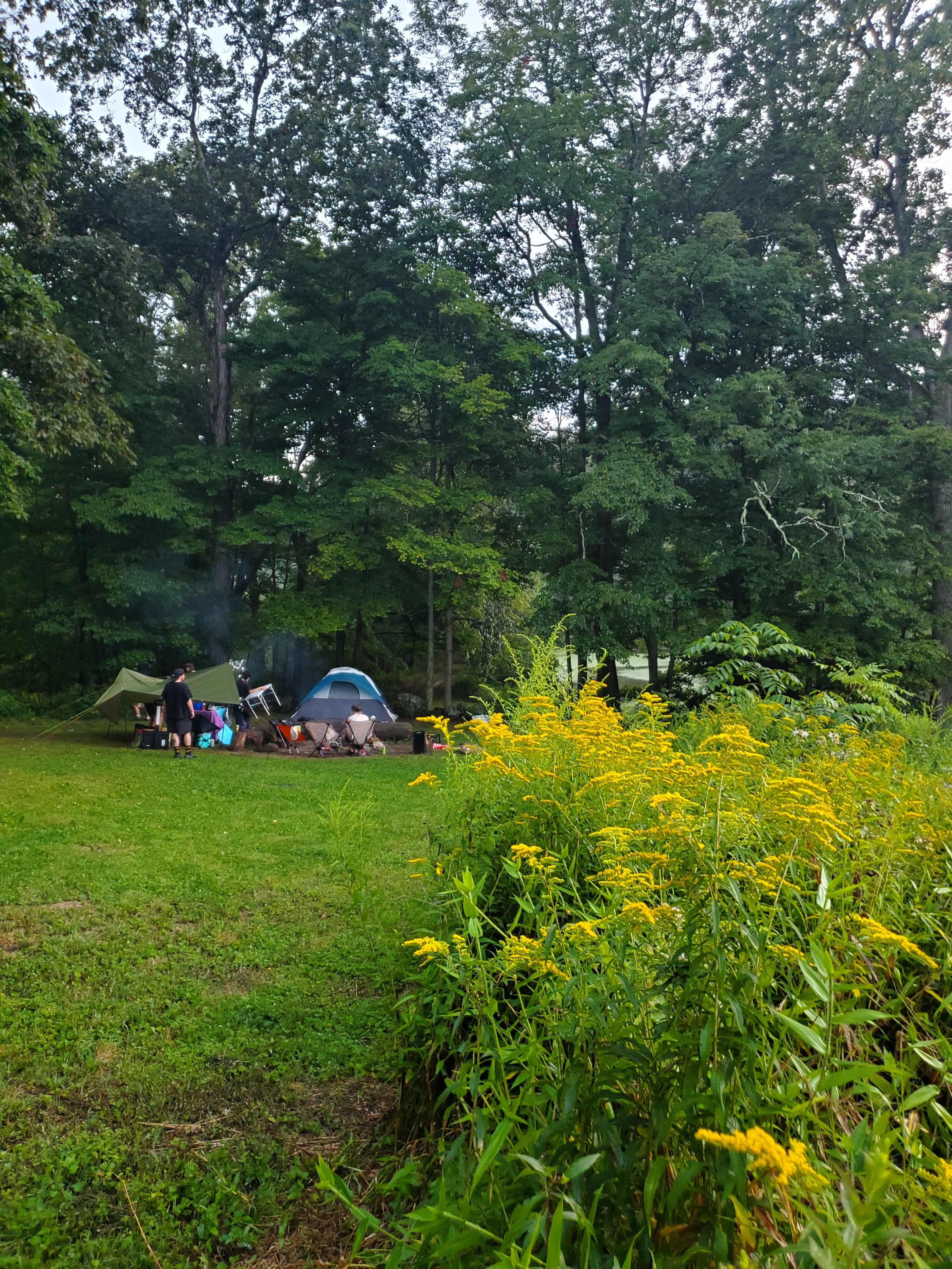 Organic Farm in the Pocono Mts.