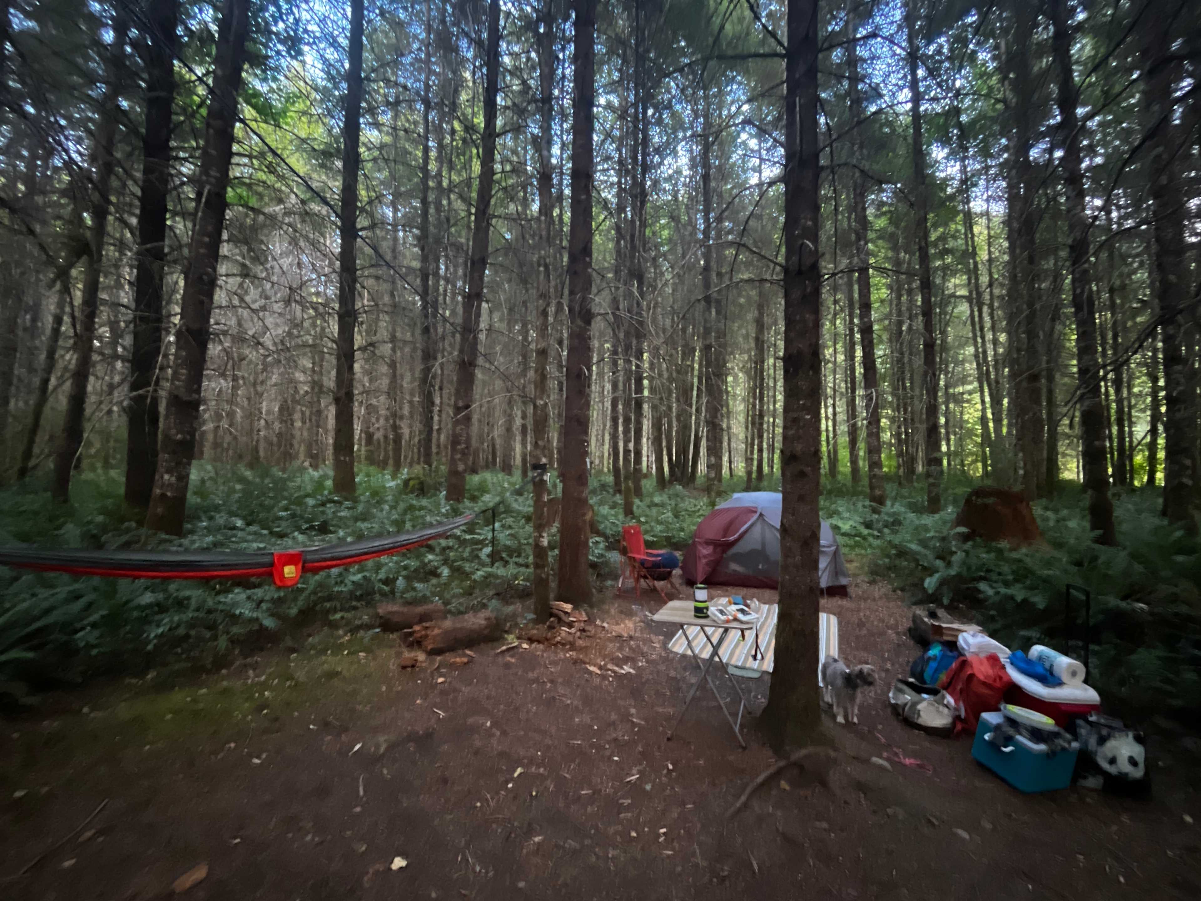 Zigzag Mountain Farm on Mount Hood