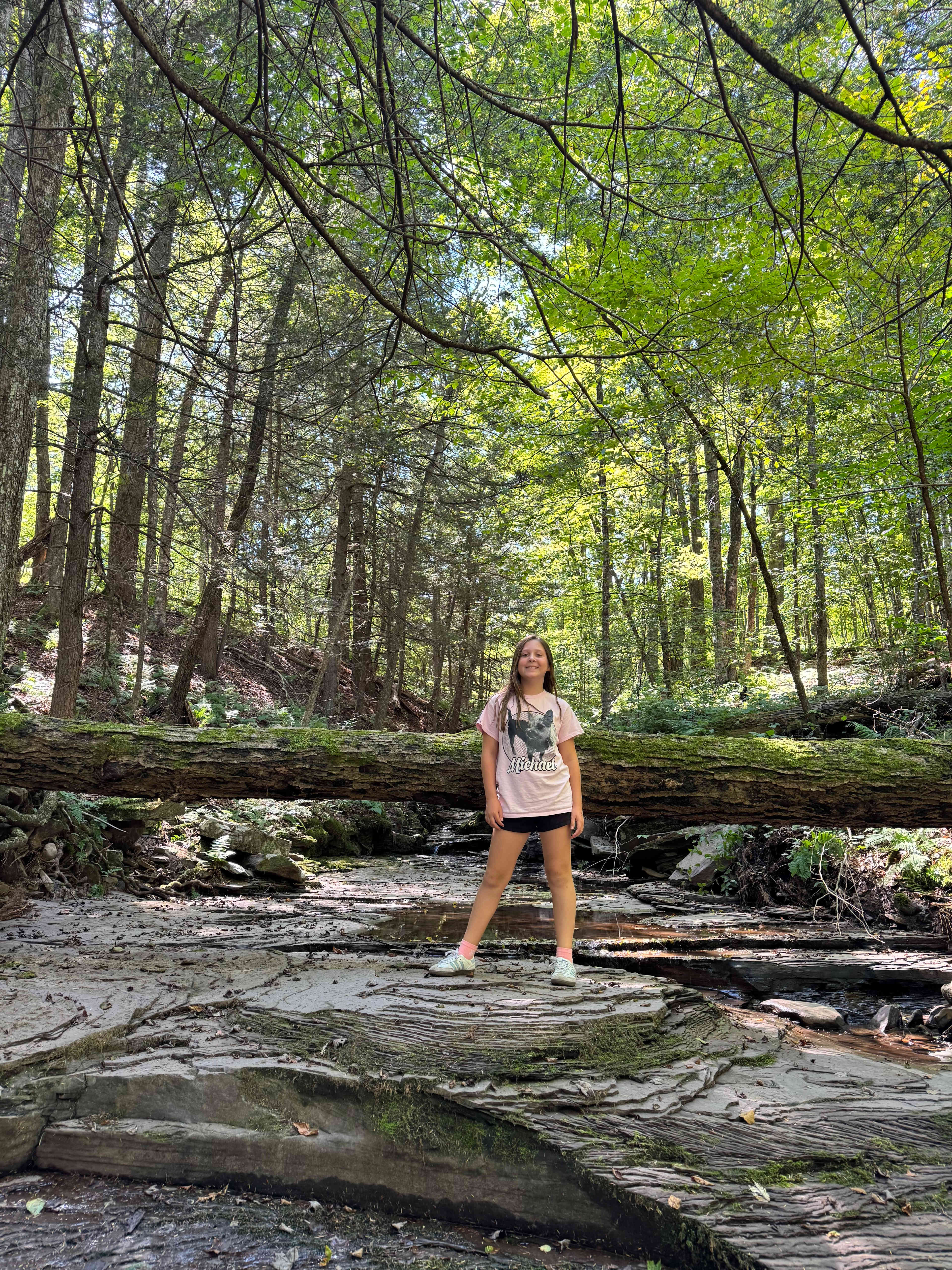 Mountainside Waterfall Retreat