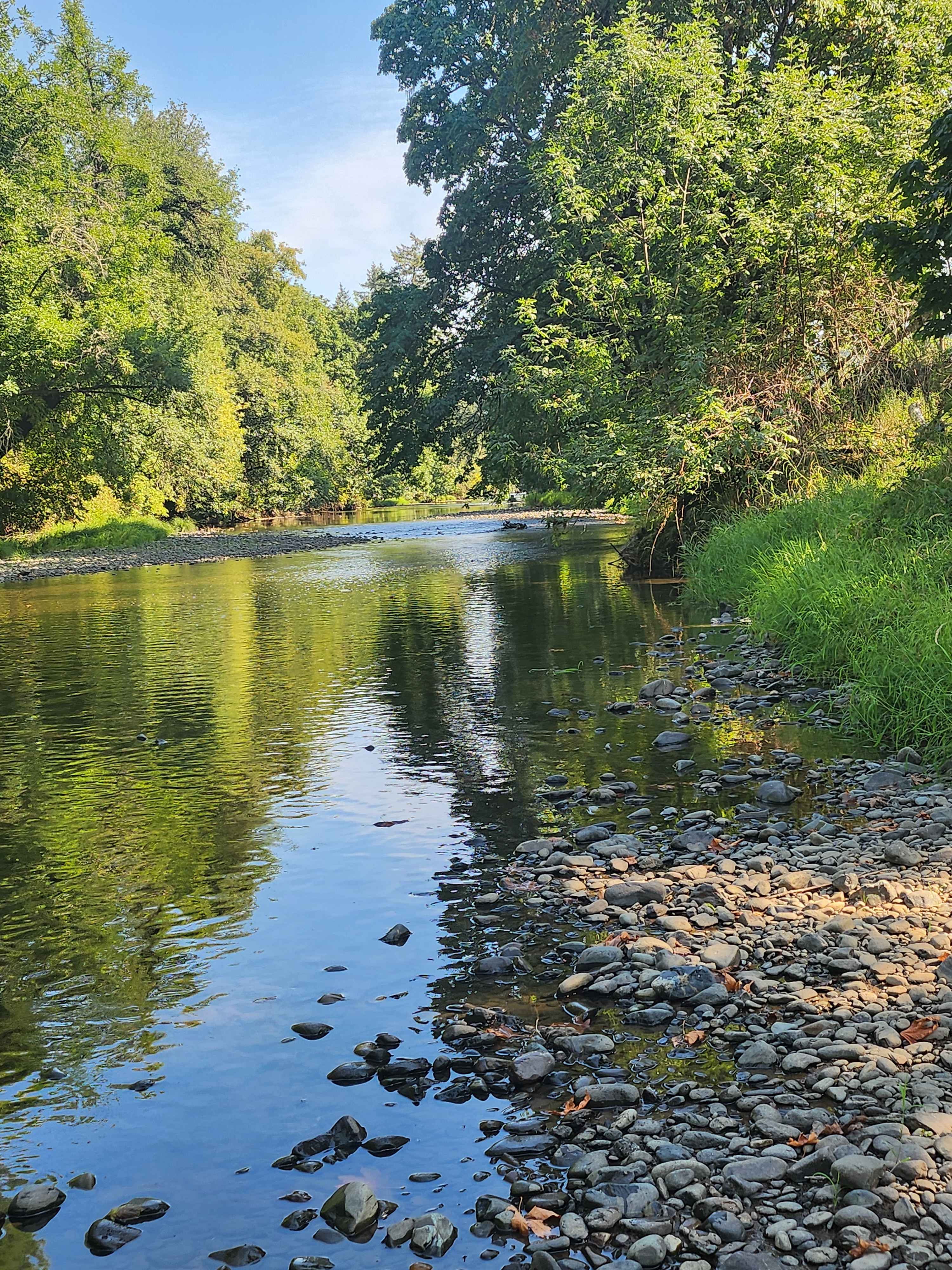 View up river from the walk down 