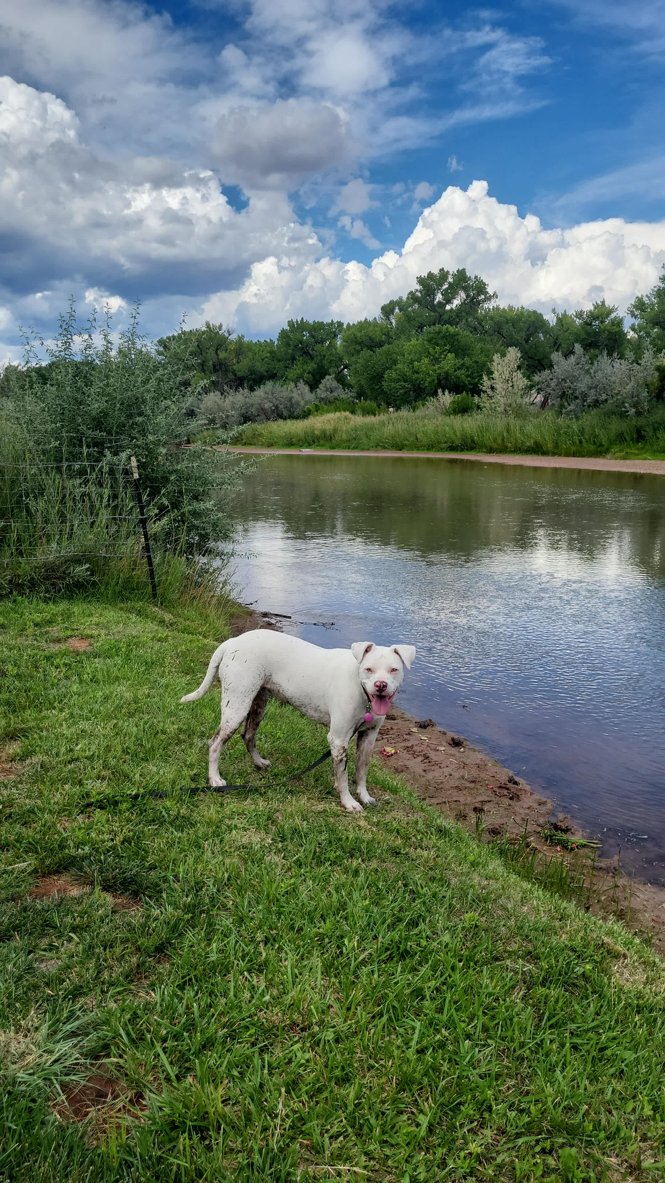 Javali River Glamping