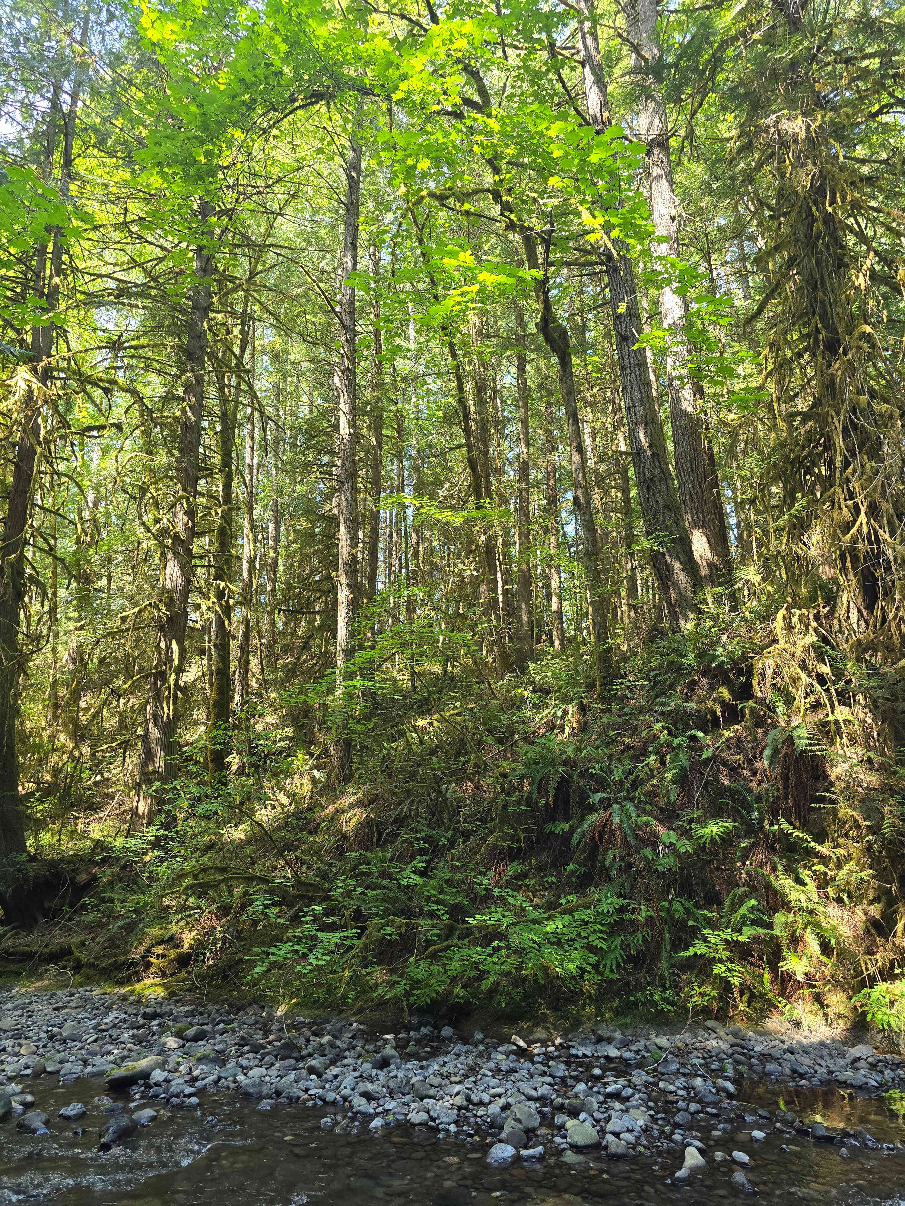 Little River Hideaway