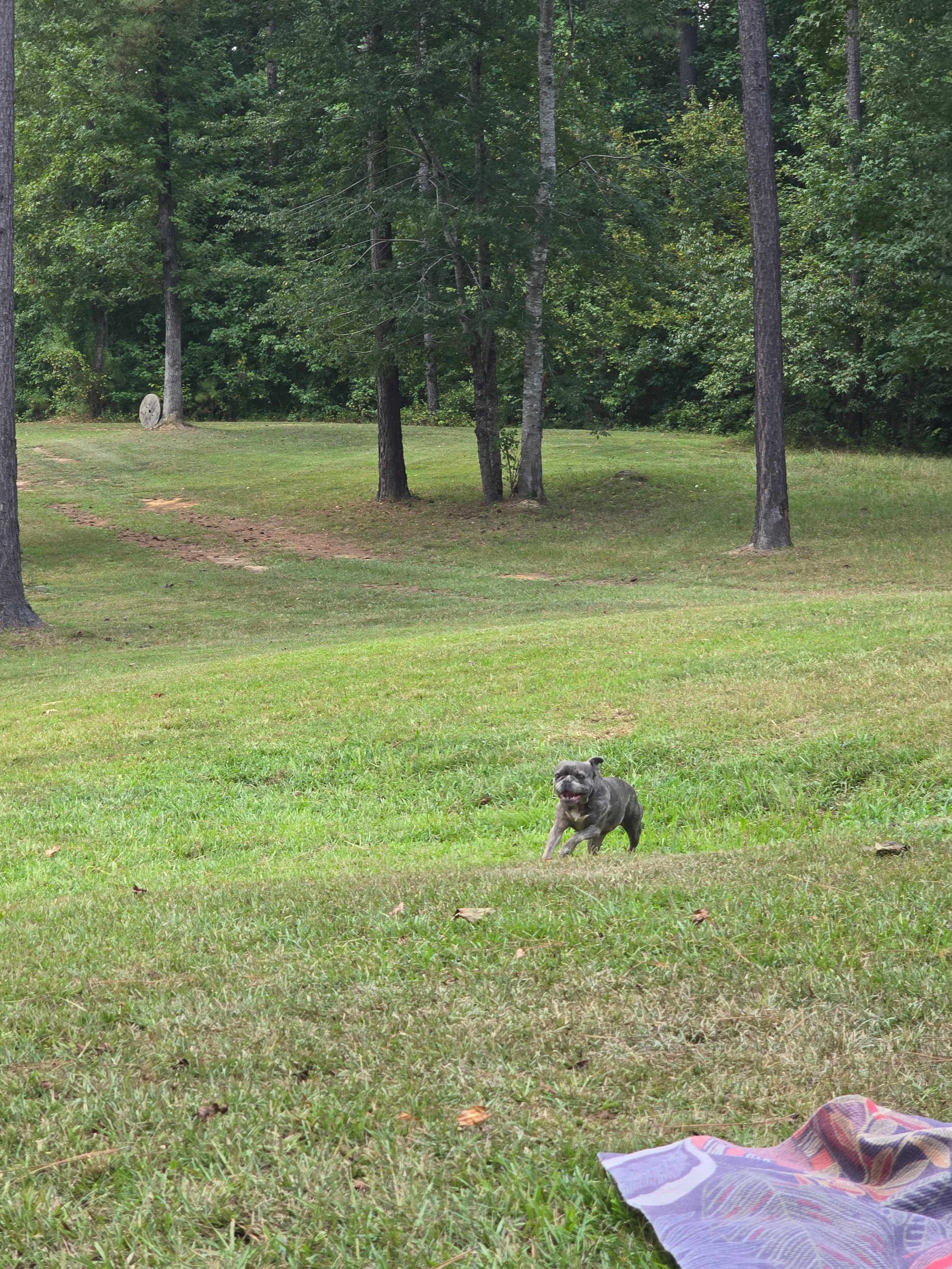 Argo’s Park & Trails