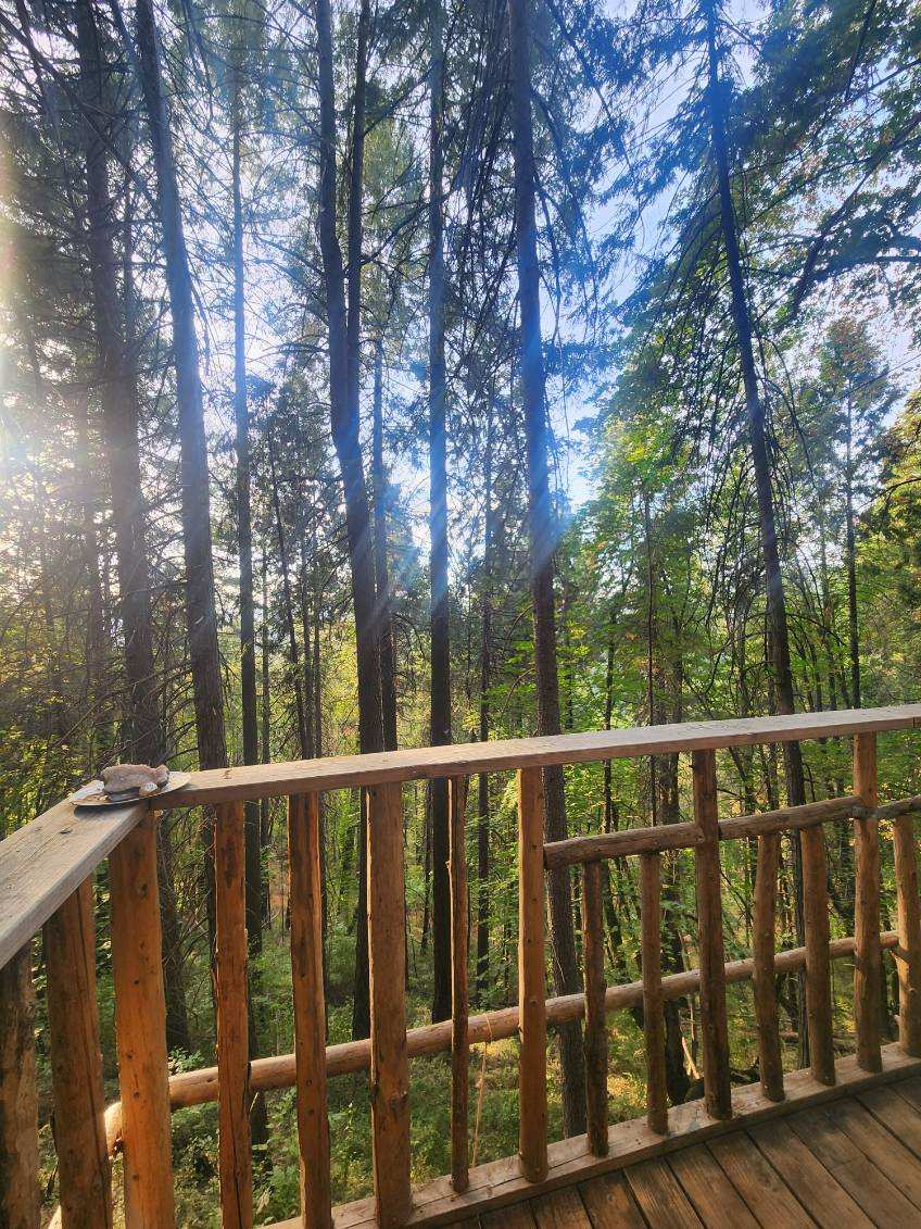 Forest Mountain Treehouse Retreat