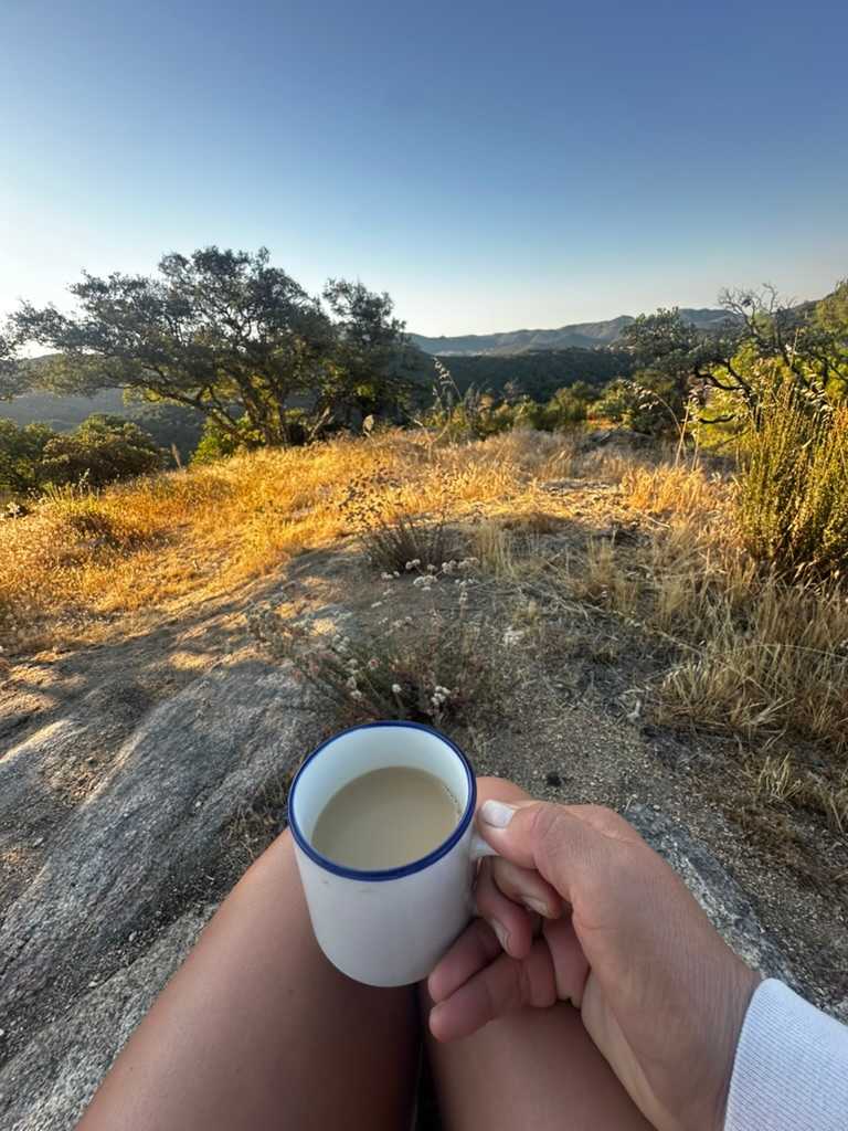 early morning beauty