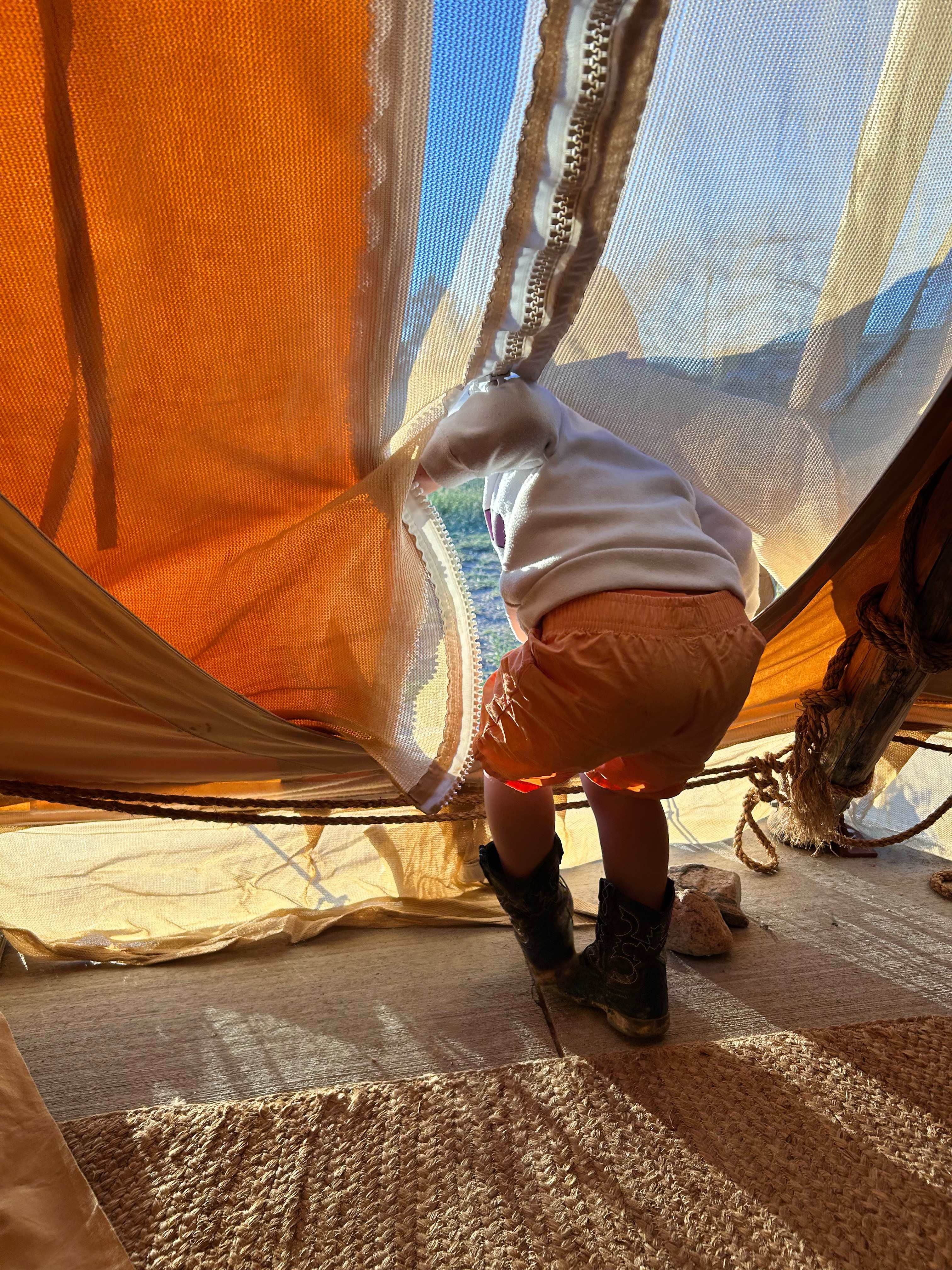 Little guys exploring in the morning 