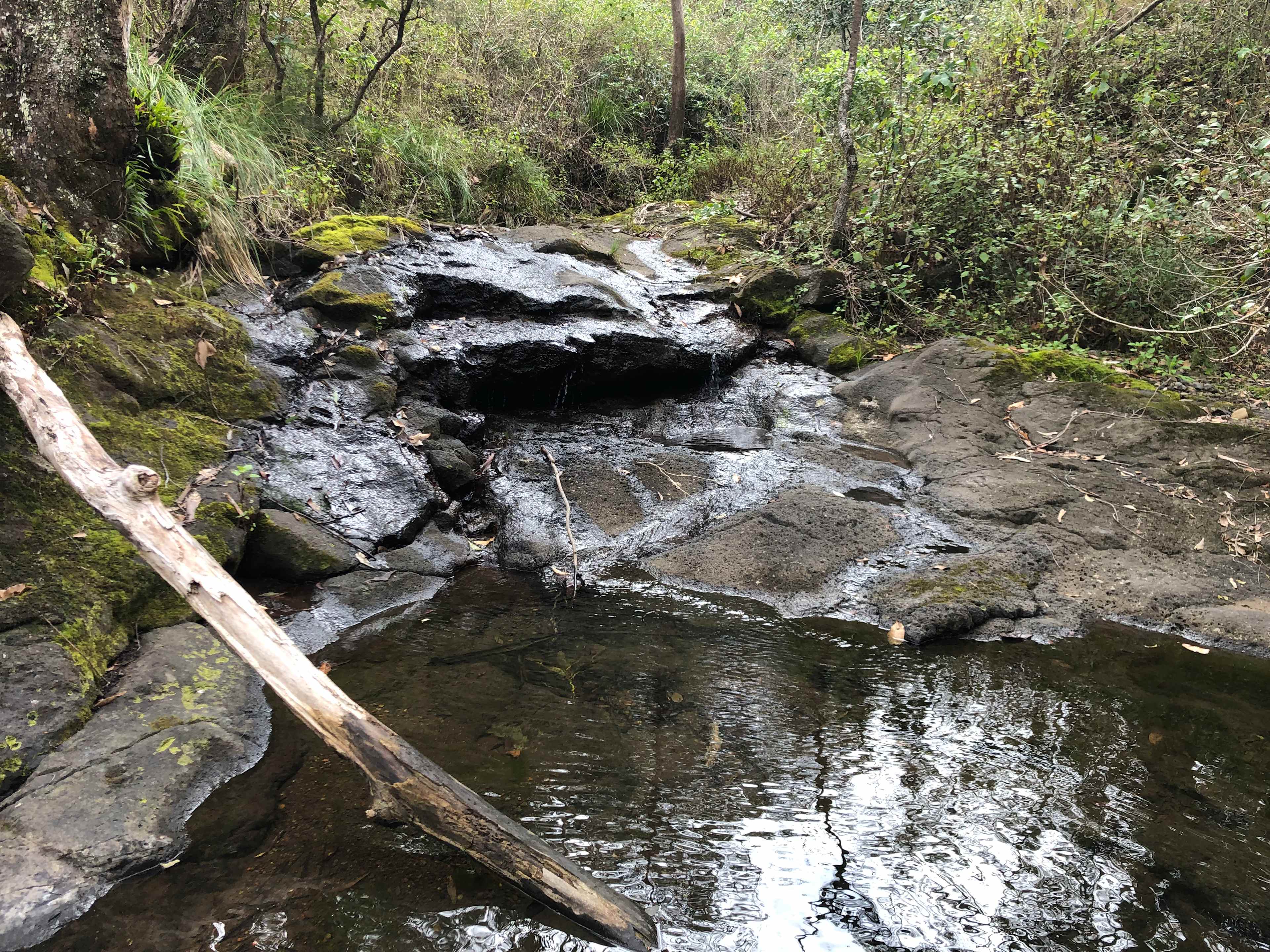 creek walk