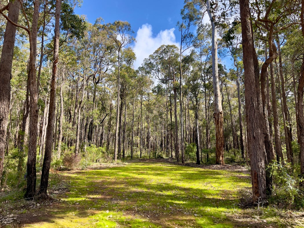 Highway Hideaway - Manjimup