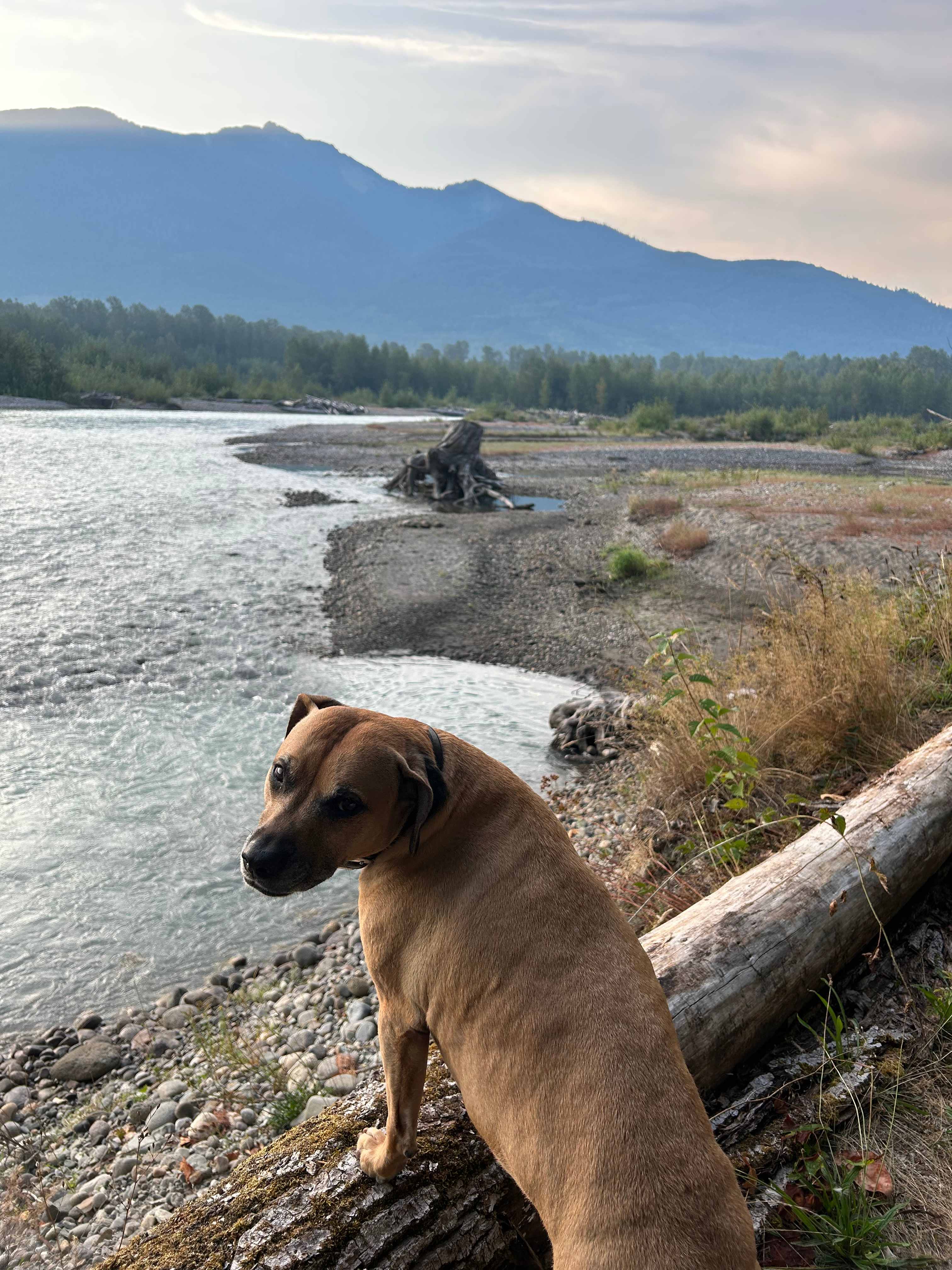 Camp 47- hot tub, river, mtn views!