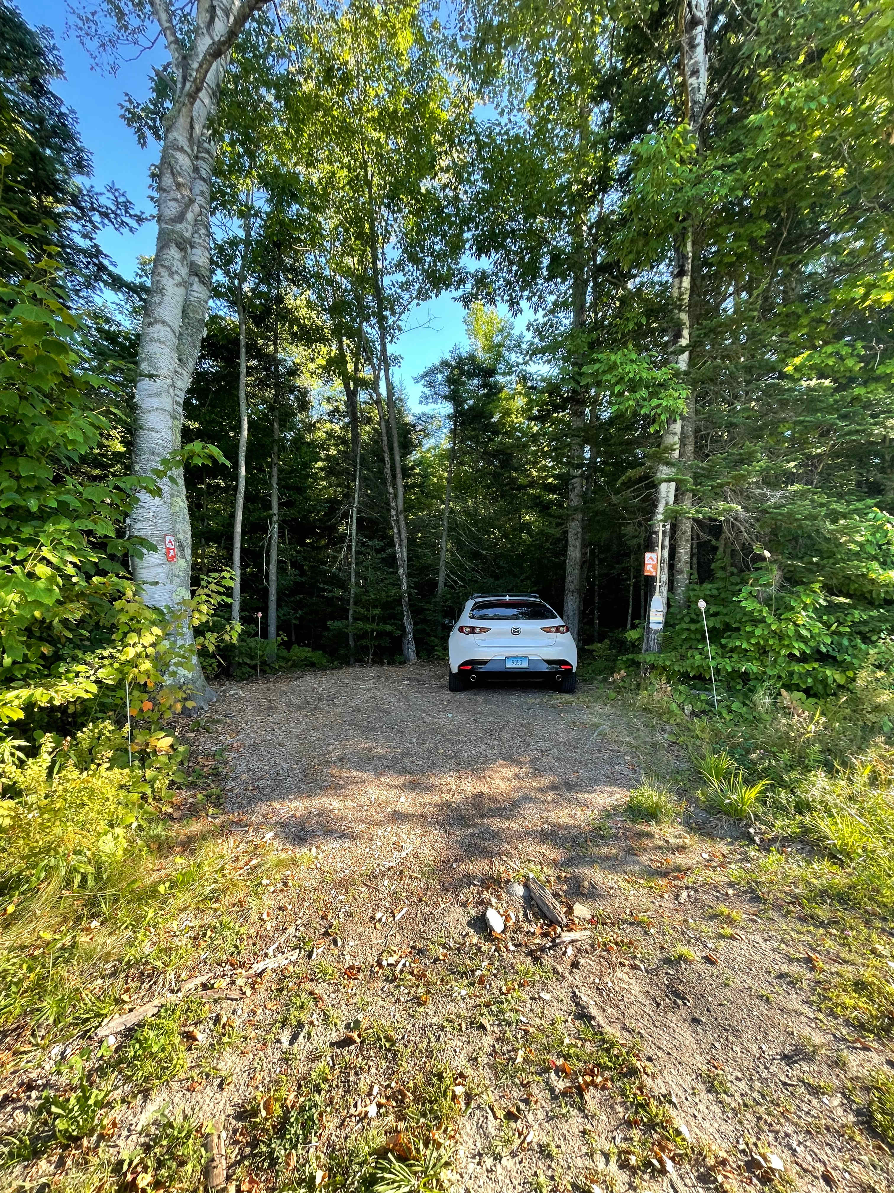 Franconia Forest - 5 Private Acres