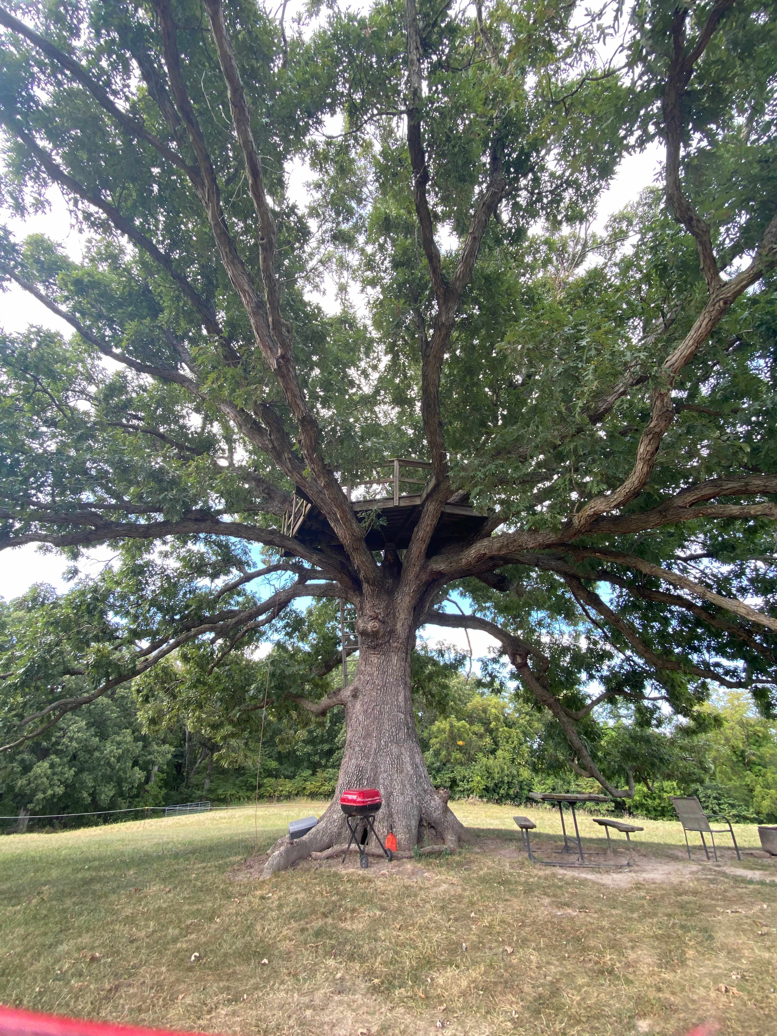 Selby Farm Horse Retirement