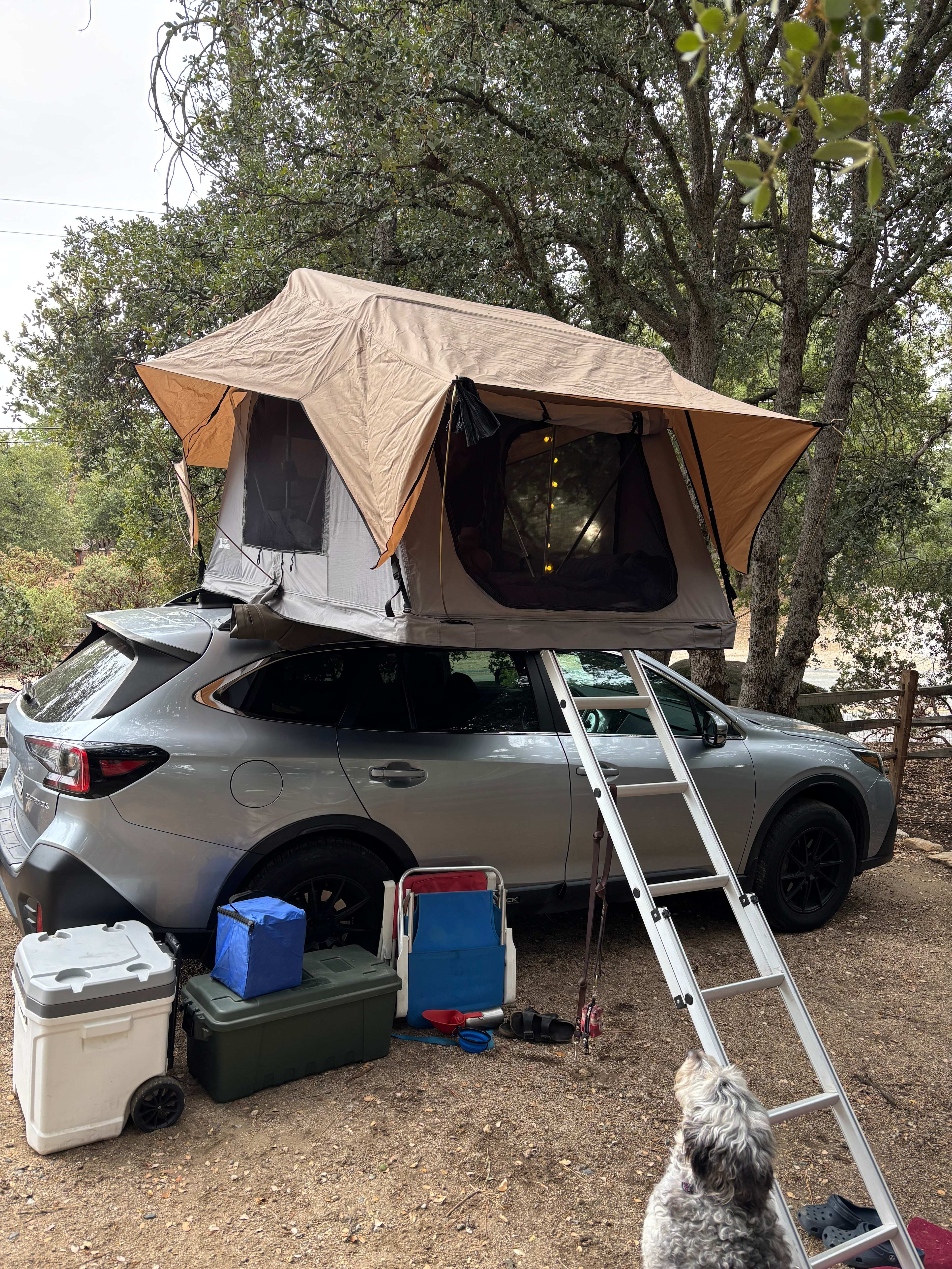 Idyllwild Camp