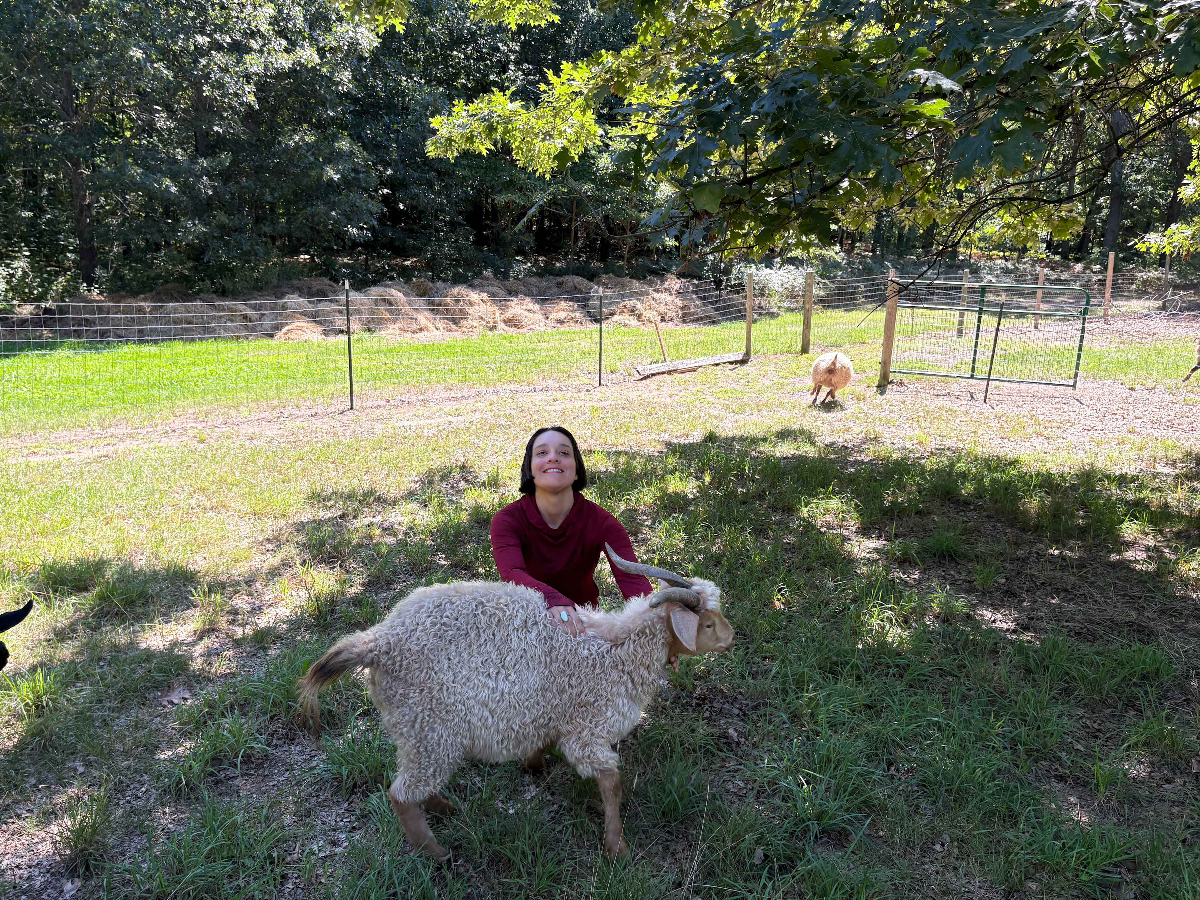 Hen and Hive Provisions