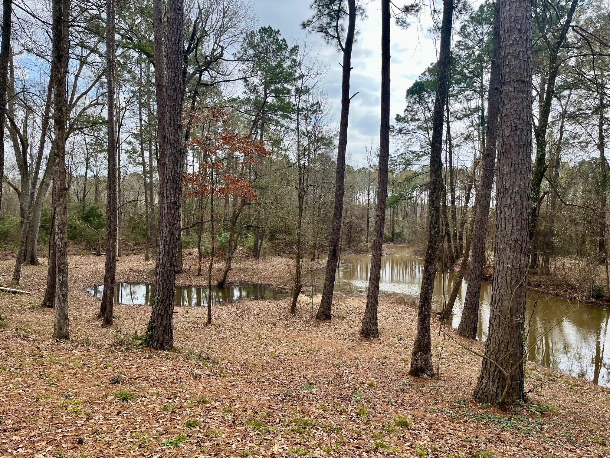 Toledo Bend Retreat