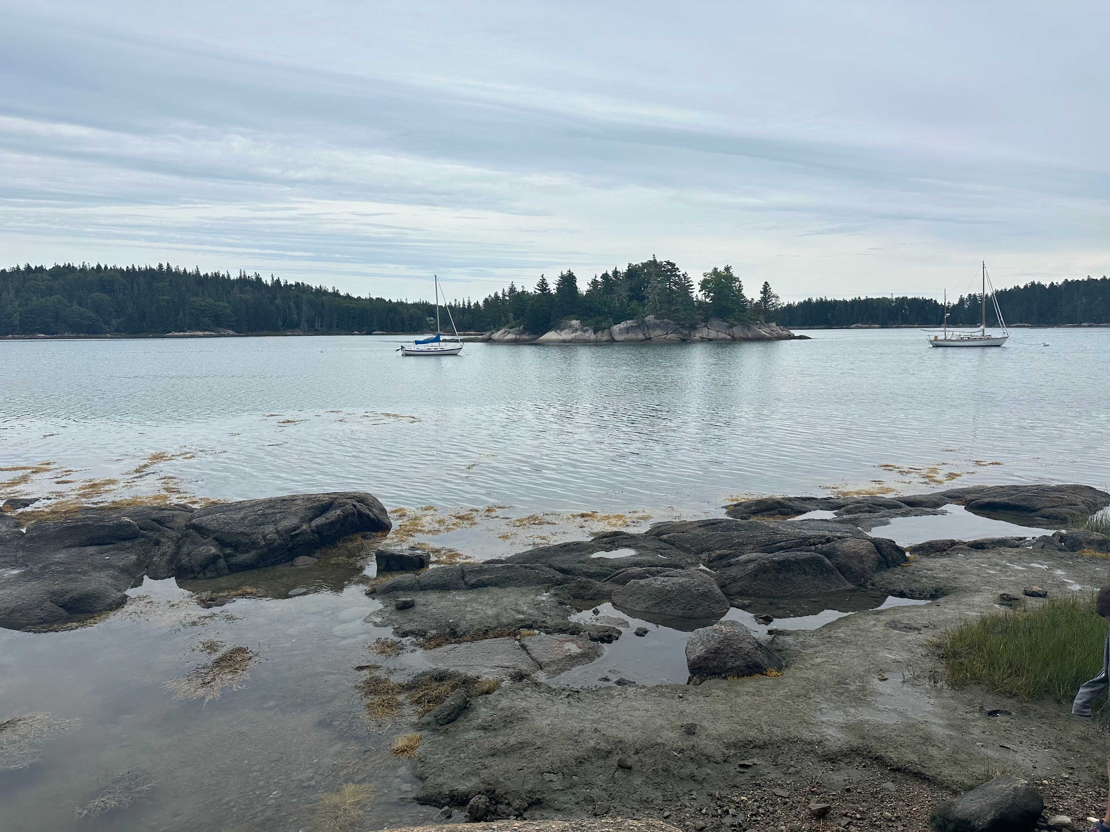 Four Acre Woods Island Campground